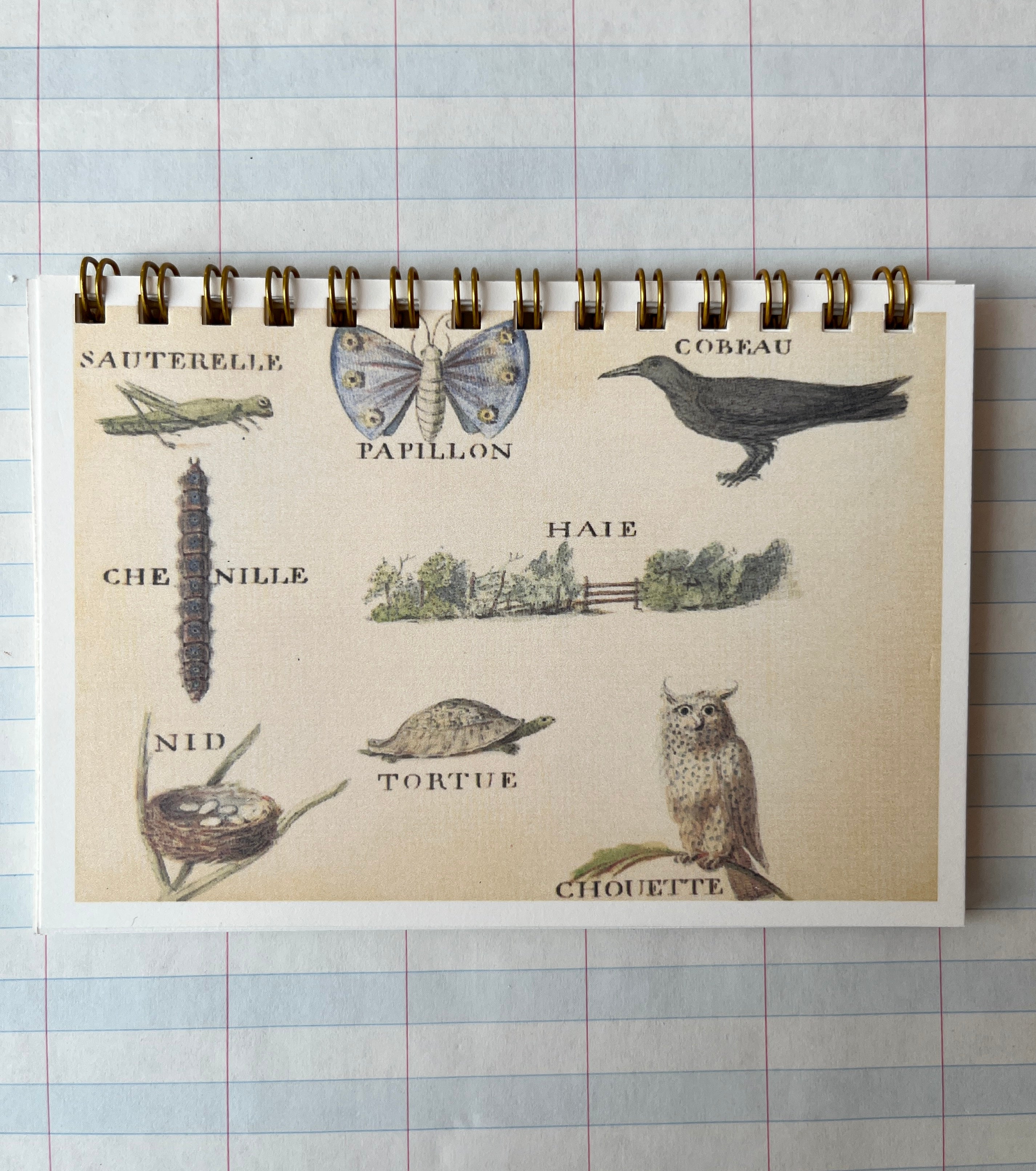 French Objects: Mini Notebooks