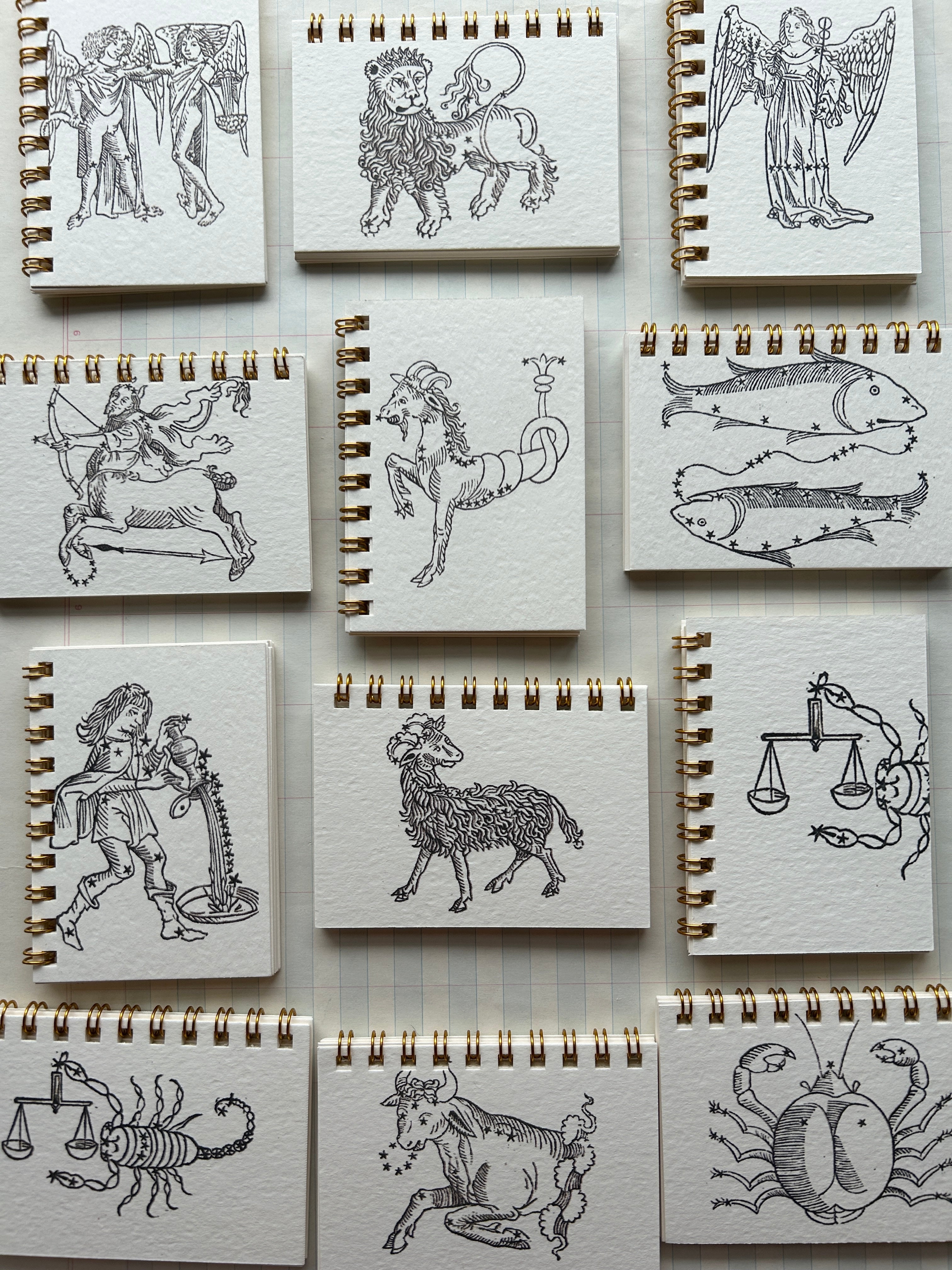 Zodiac Teeny Tiny Pocket Notebook