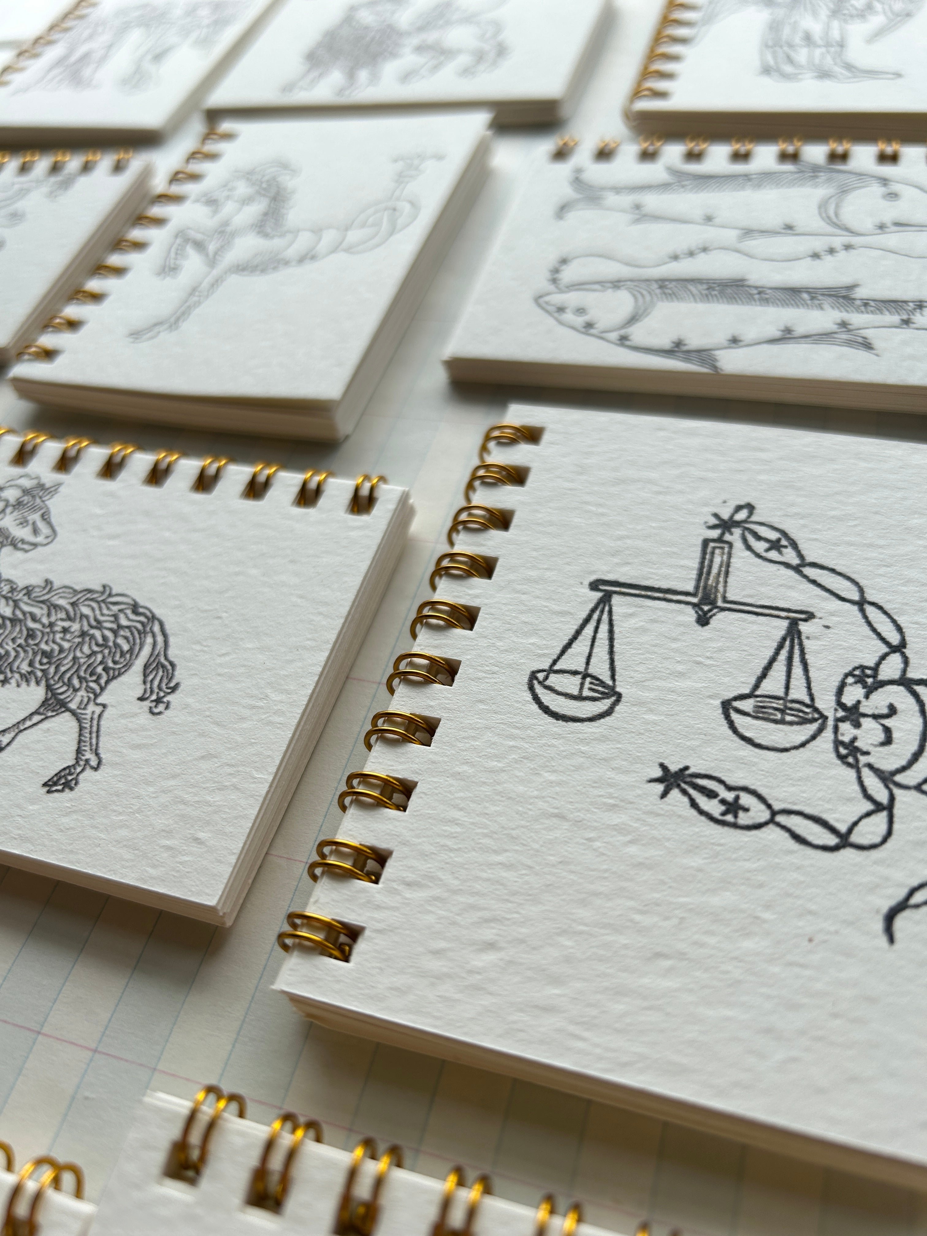 Zodiac Teeny Tiny Pocket Notebook