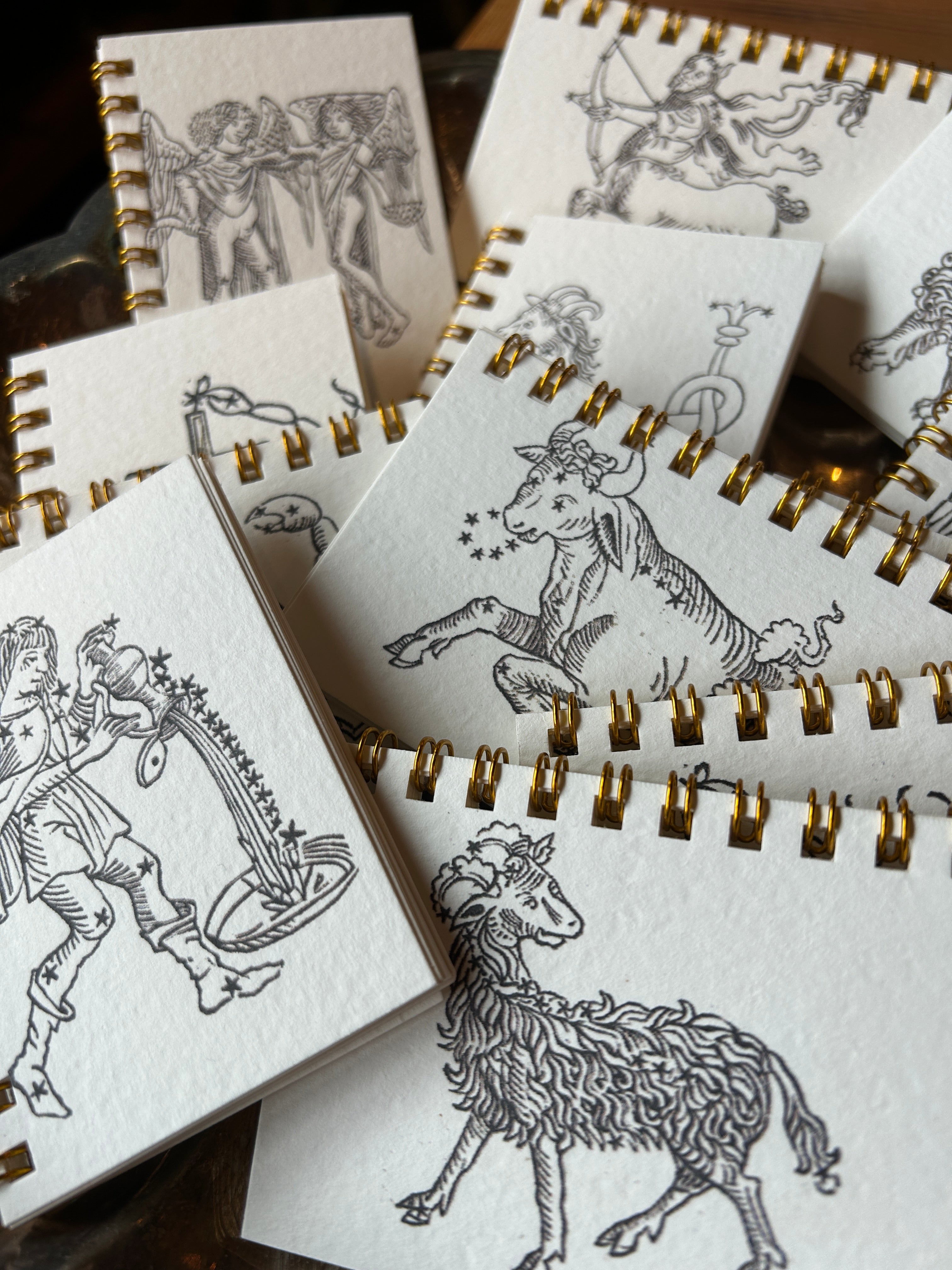 Zodiac Teeny Tiny Pocket Notebook