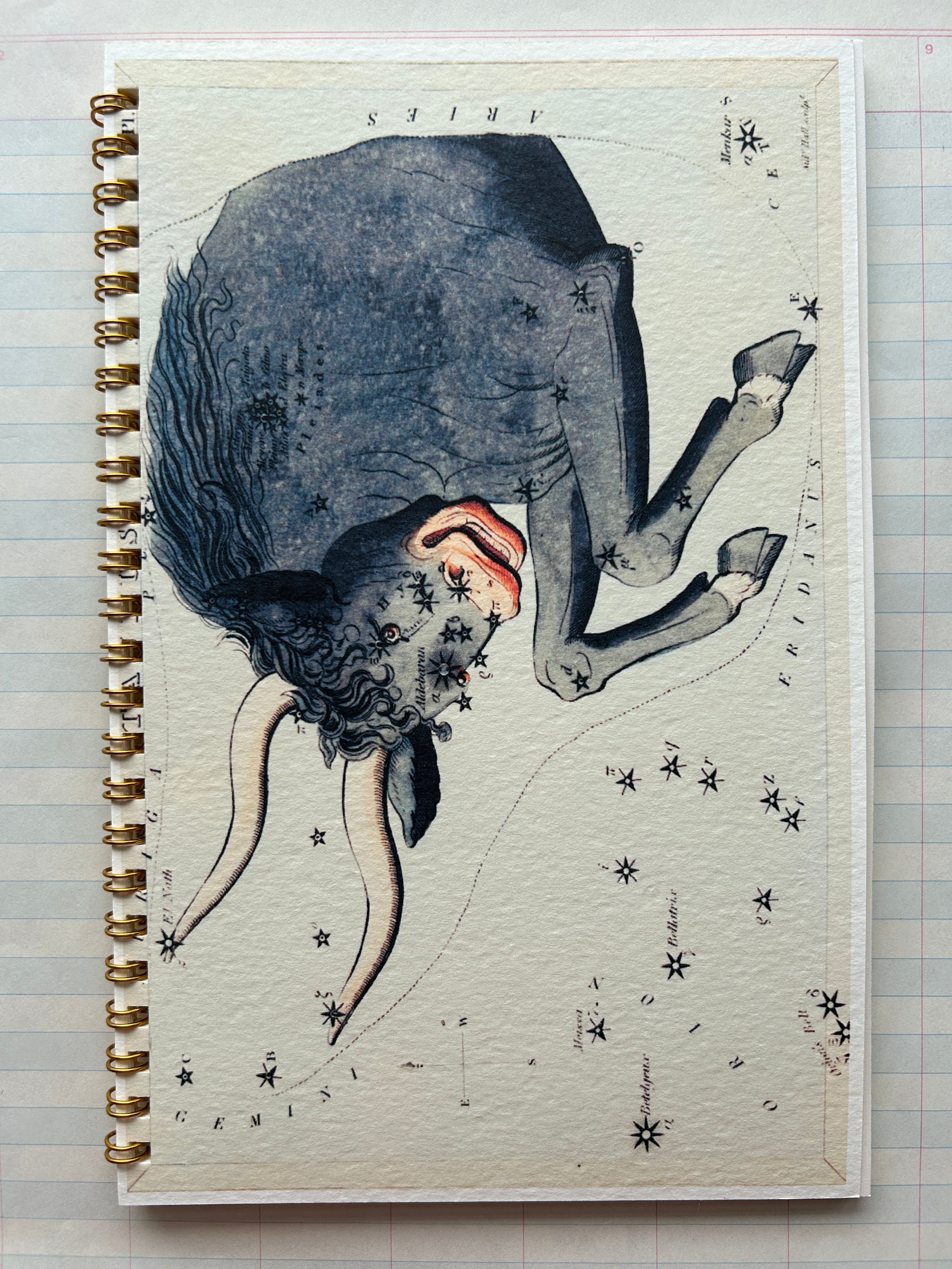 Zodiac Series Notebooks