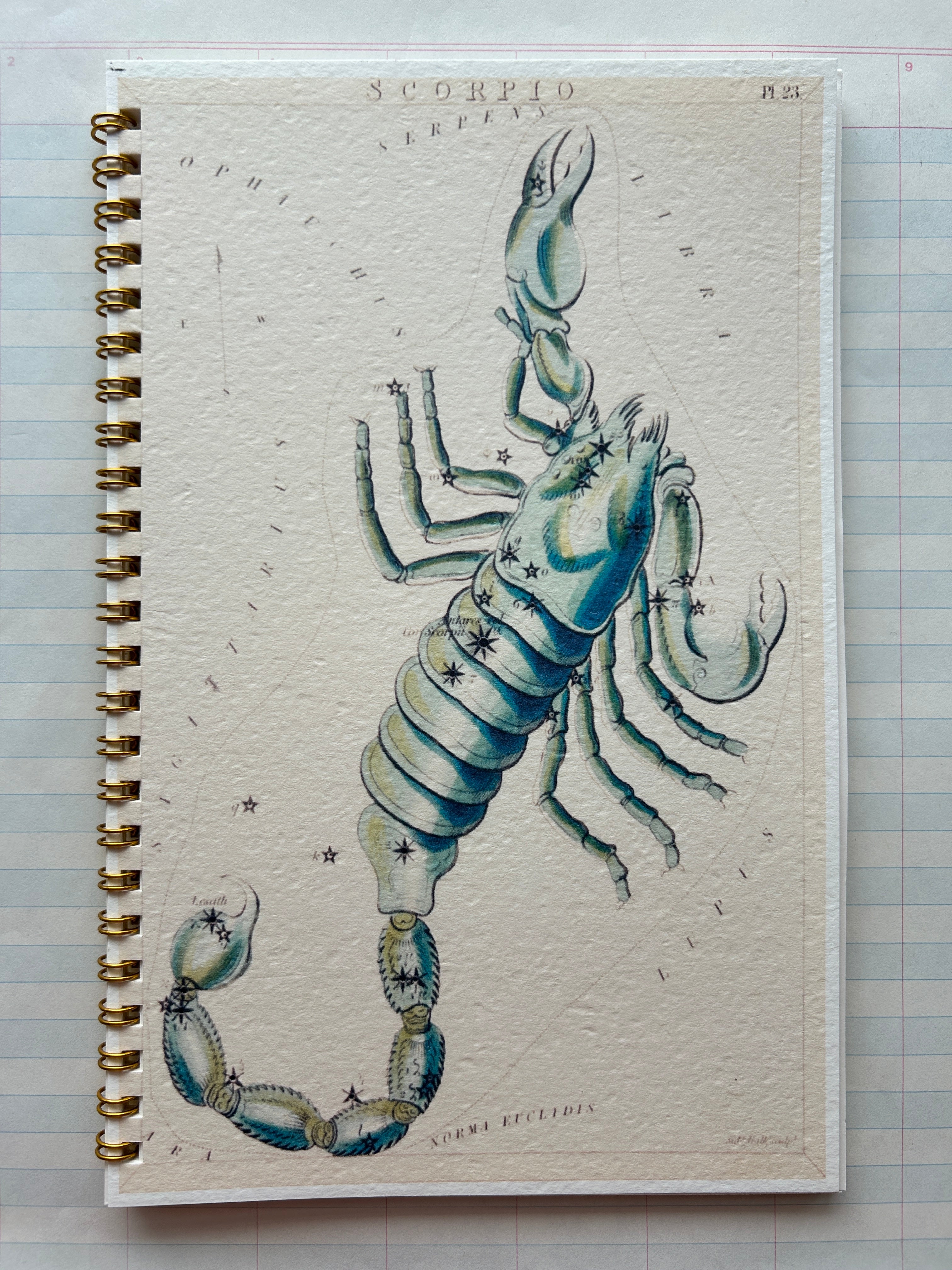 Zodiac Series Notebooks