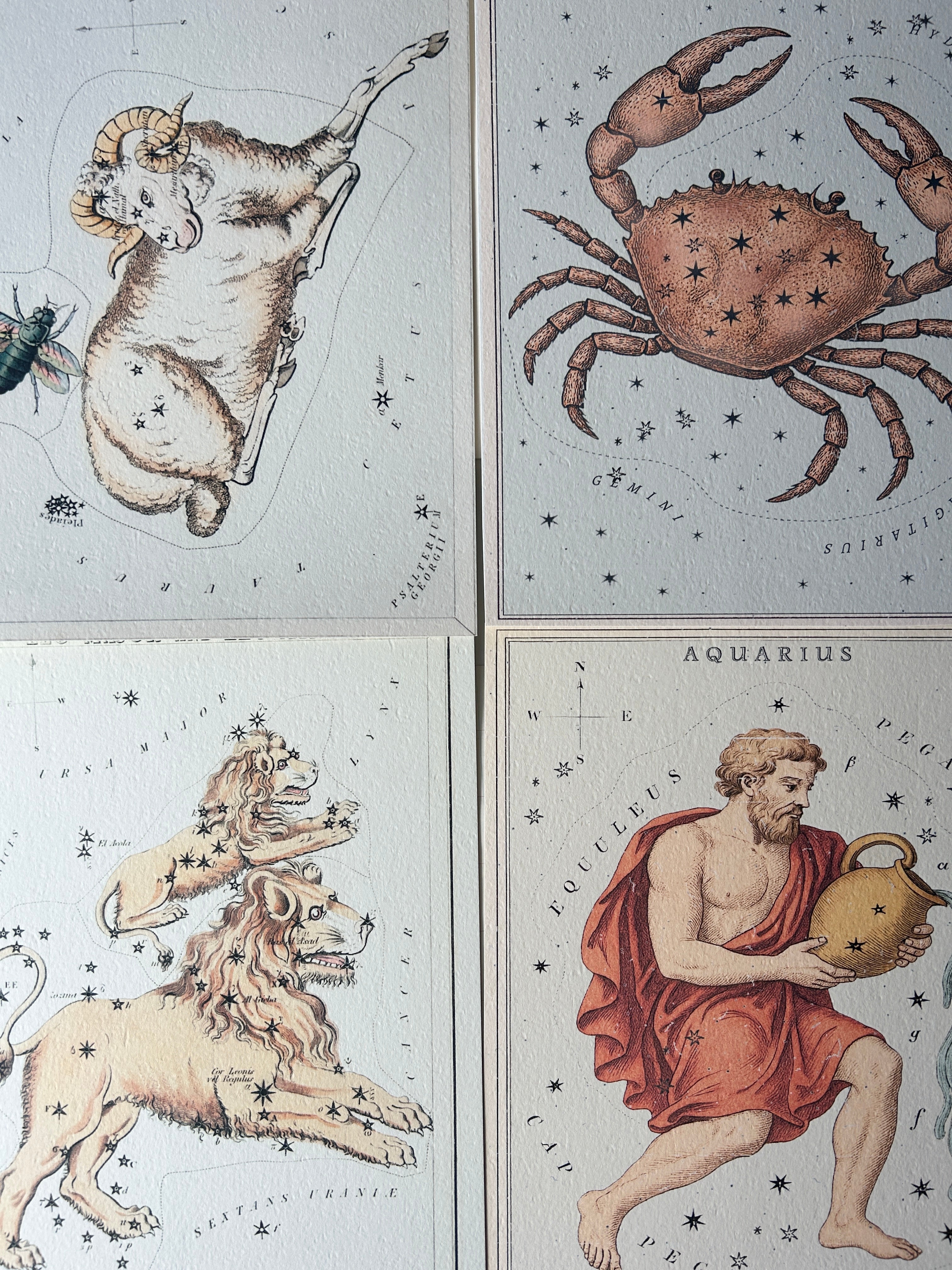 Zodiac Art Prints