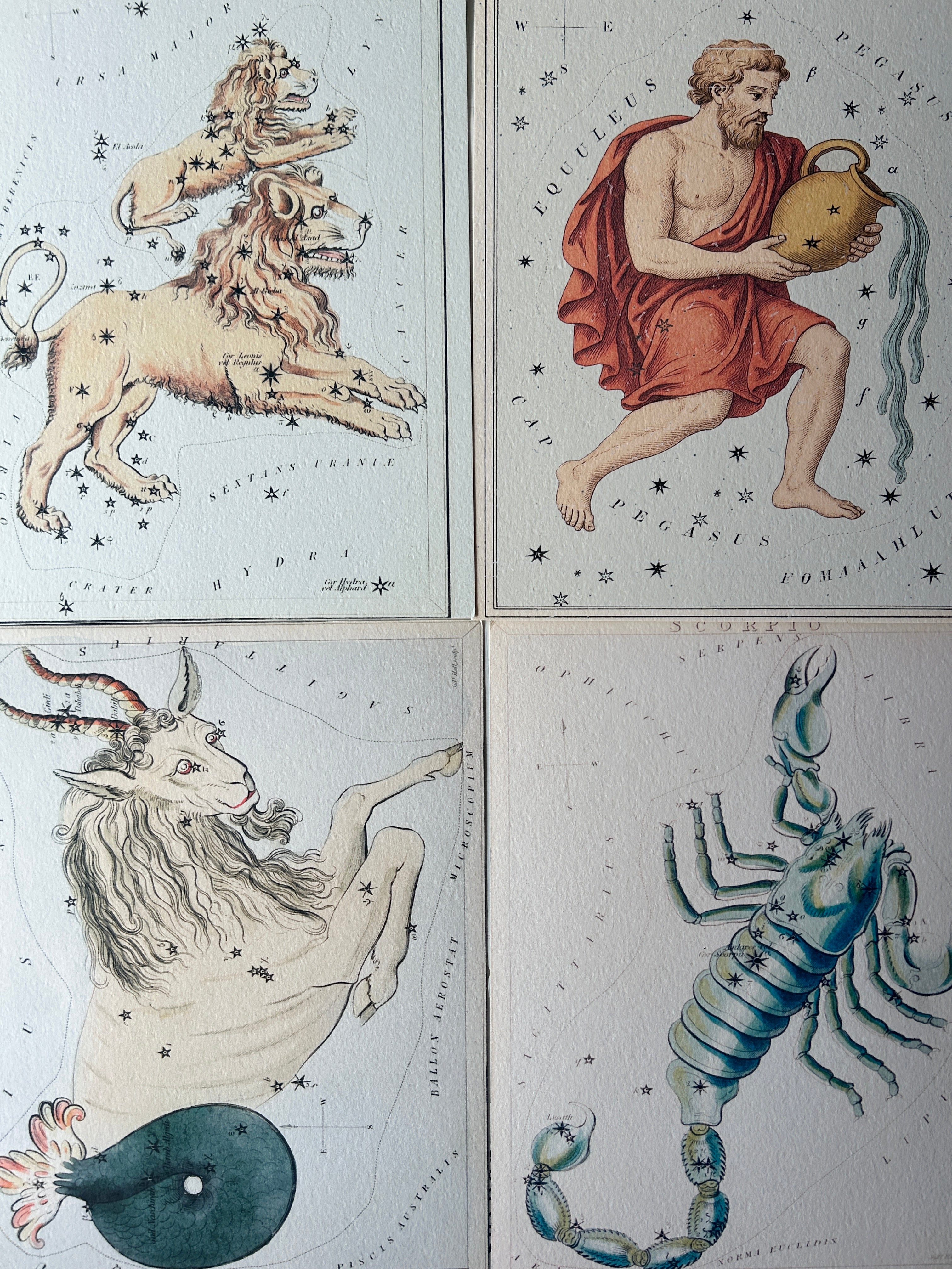 Zodiac Art Prints