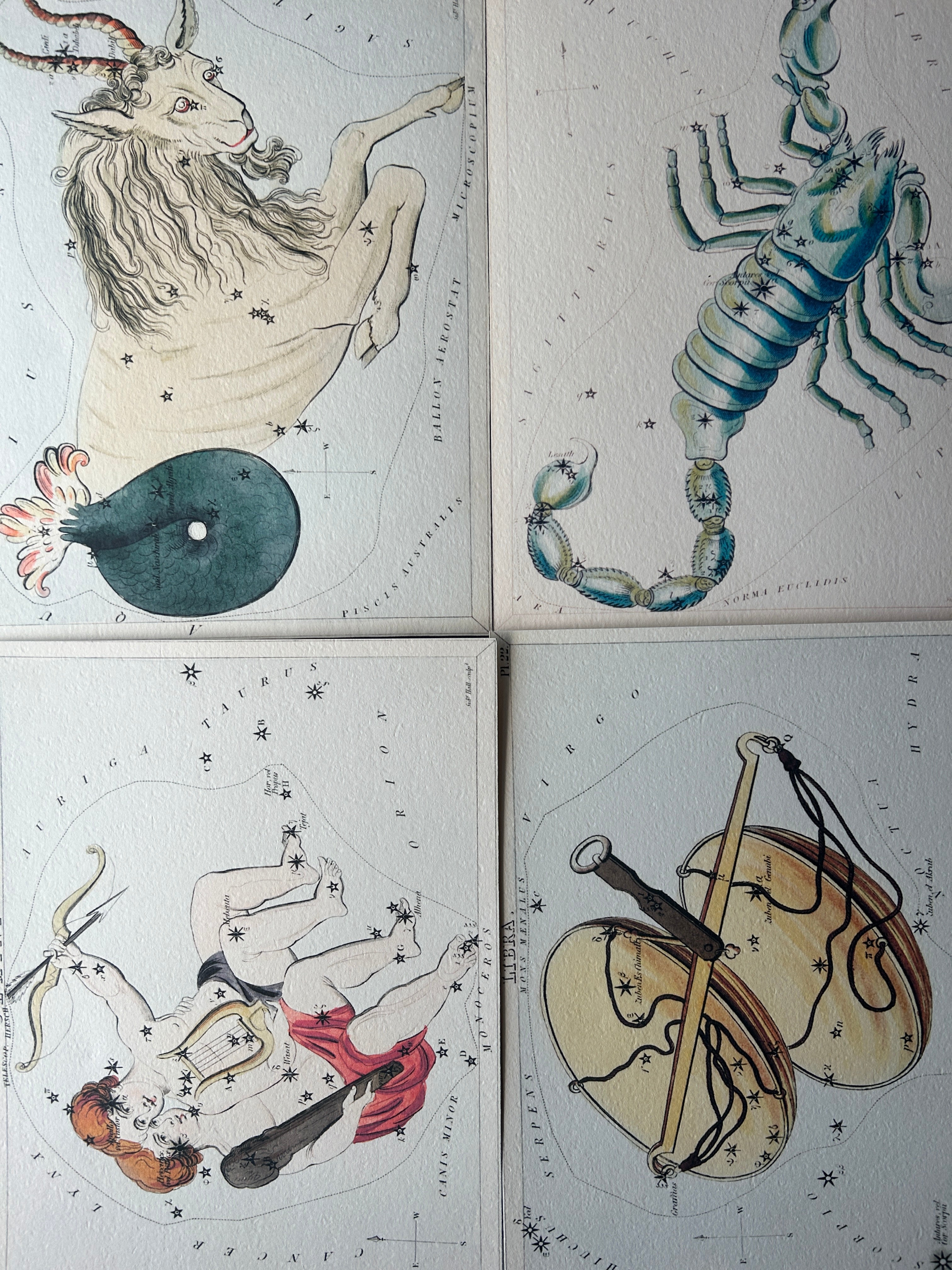 Zodiac Art Prints