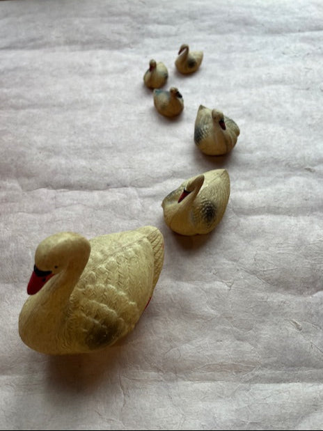 Flock of Celluloid Swans