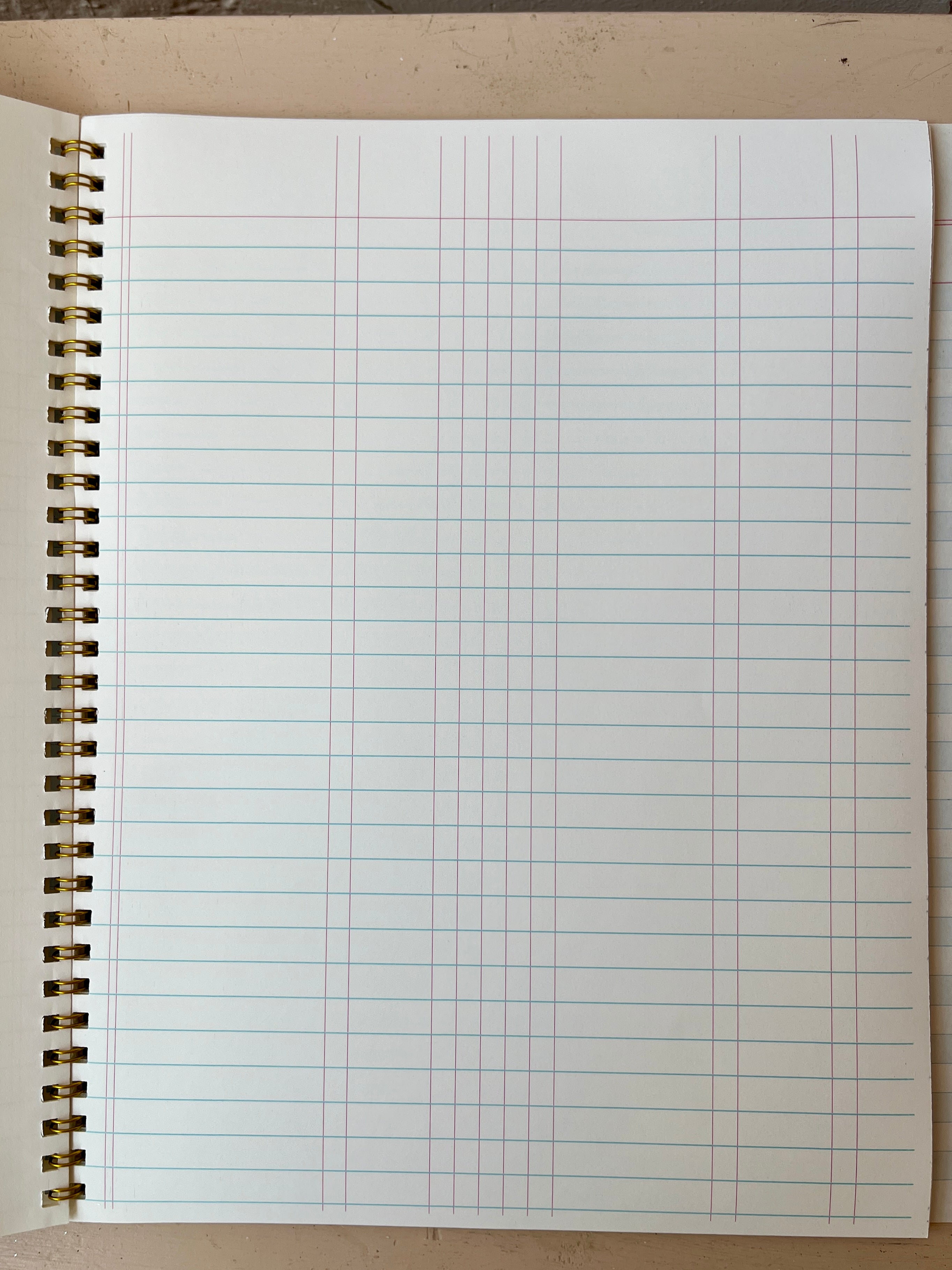 Old-School Ledger Notebooks