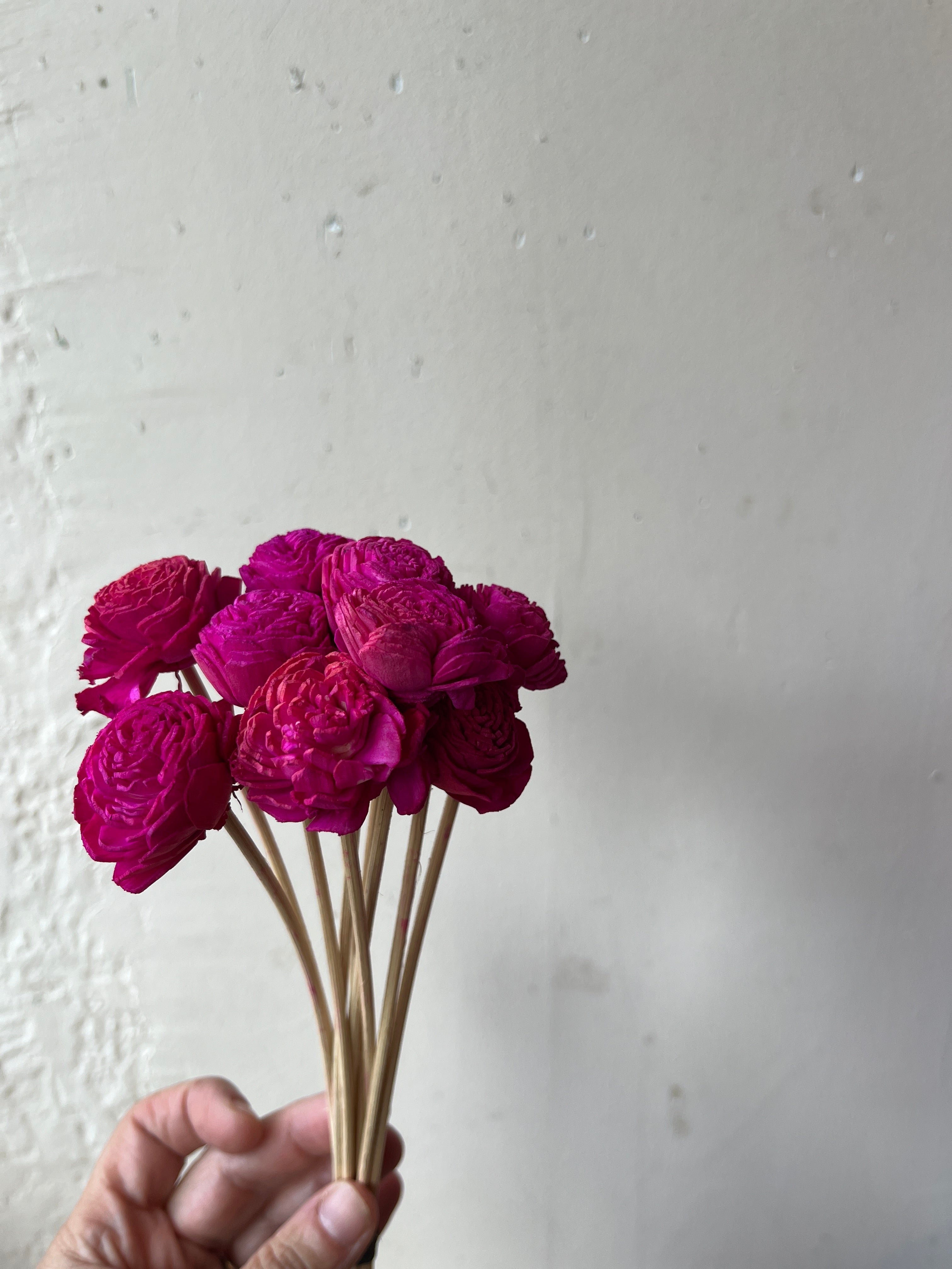 Bright Paper Flowers