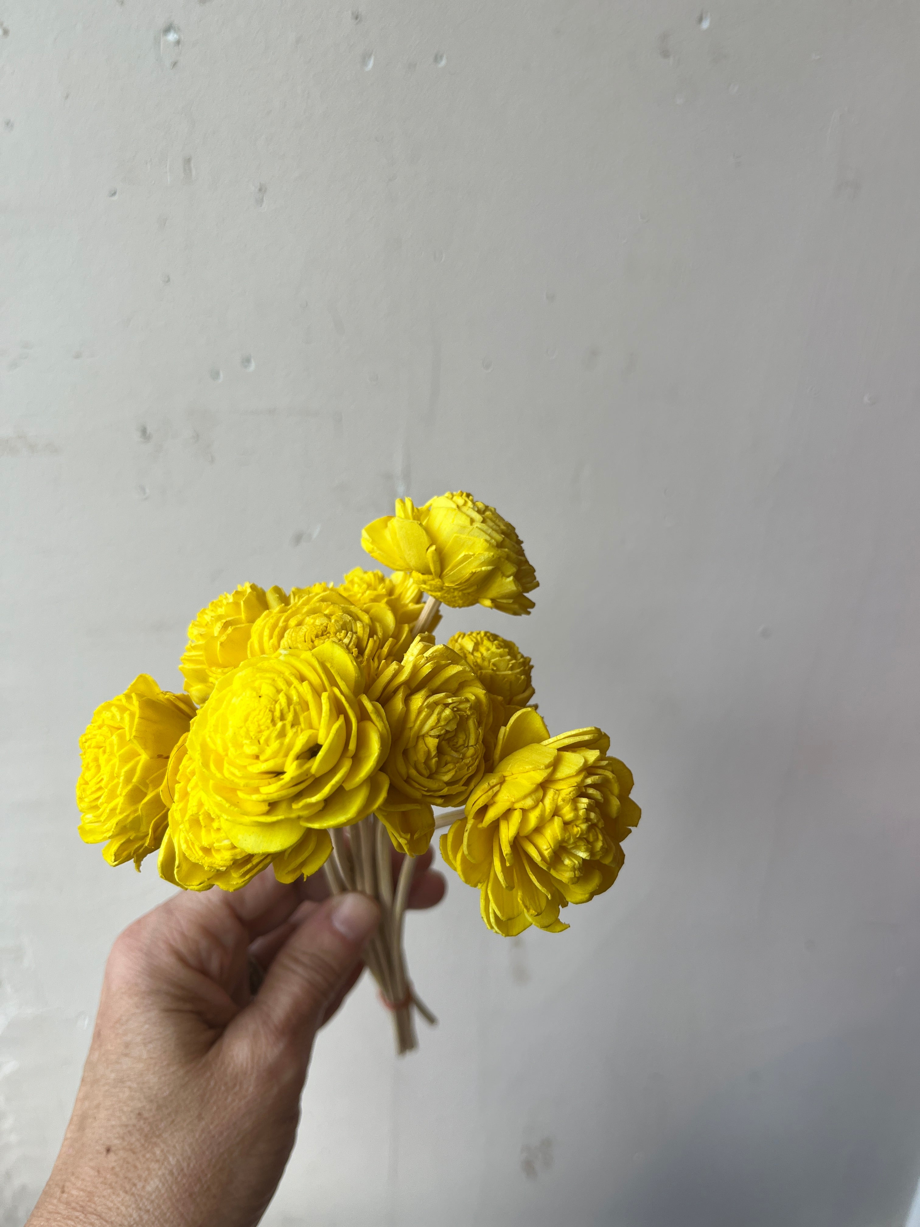 Bright Paper Flowers