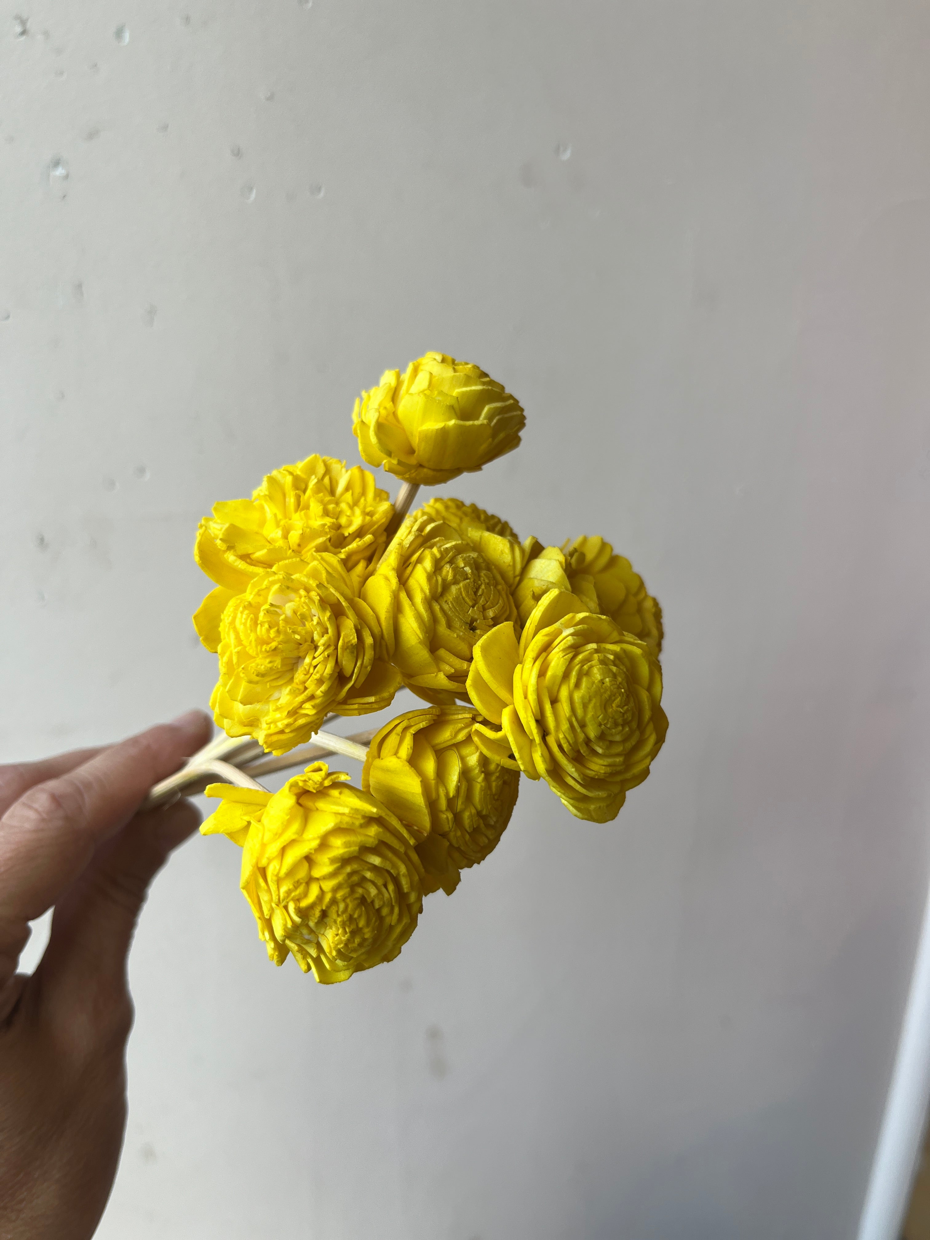 Bright Paper Flowers