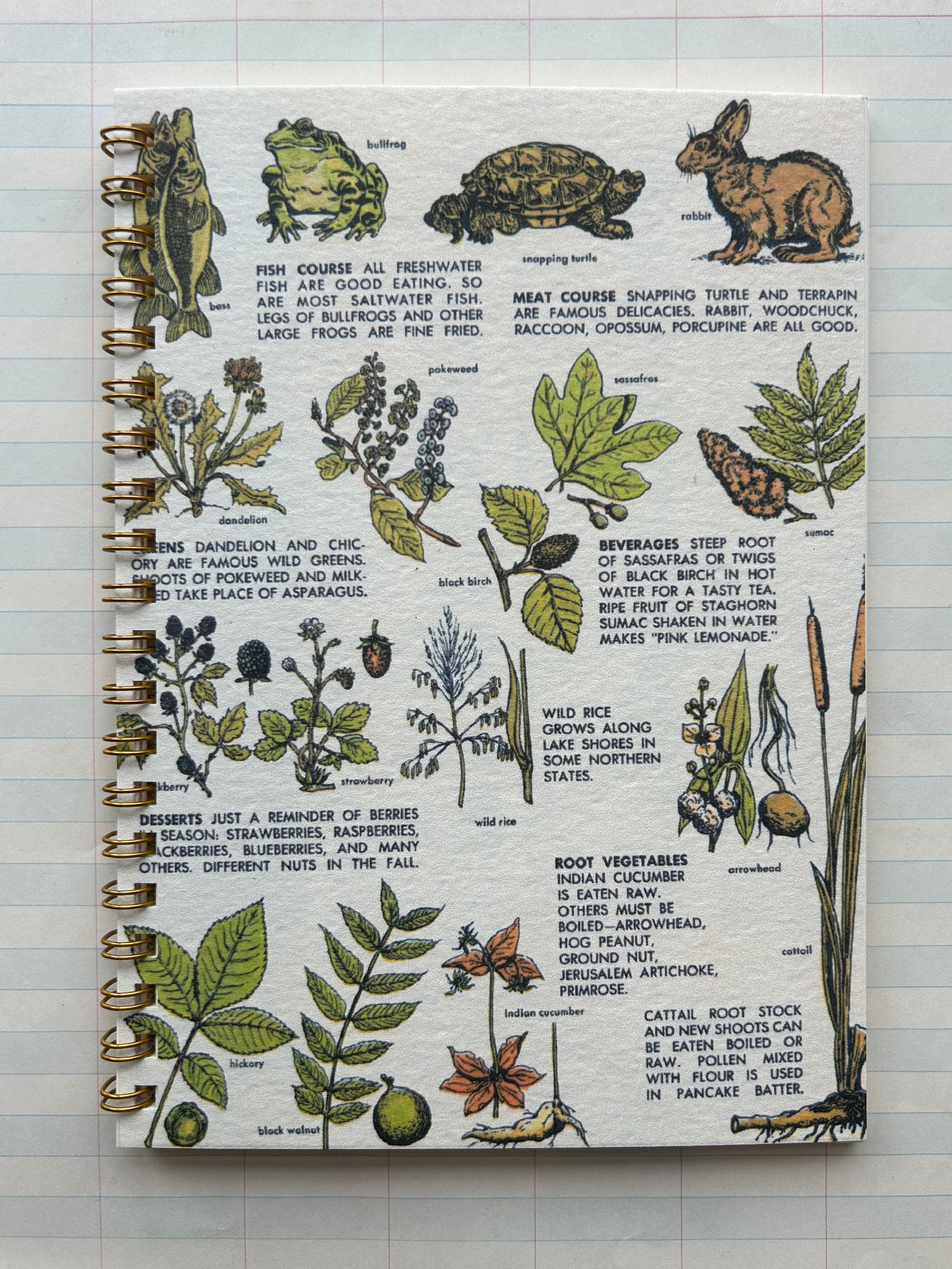 Wildlife Forager Notebook