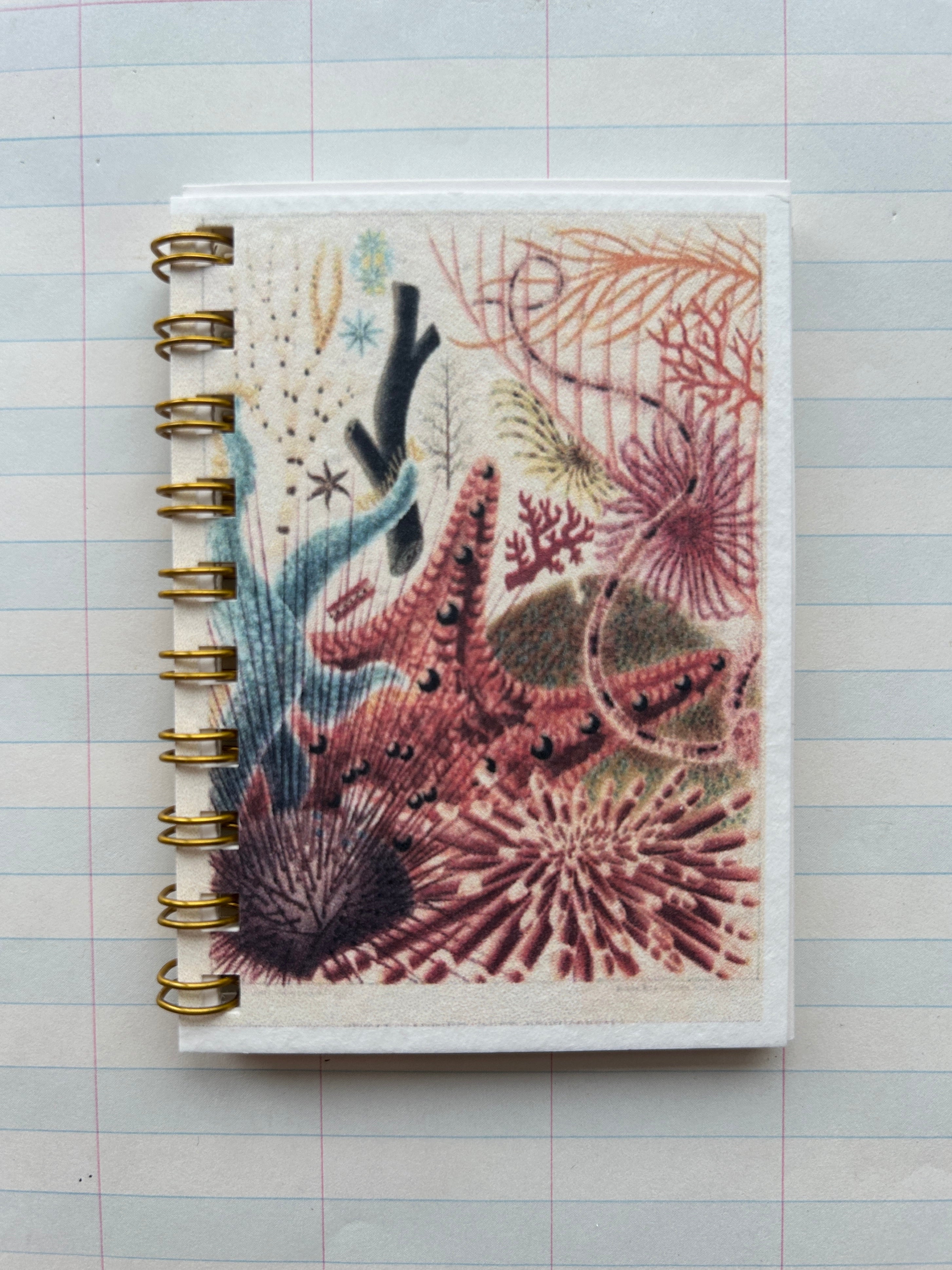 Ocean Life Teeny Tiny Pocket Notebook