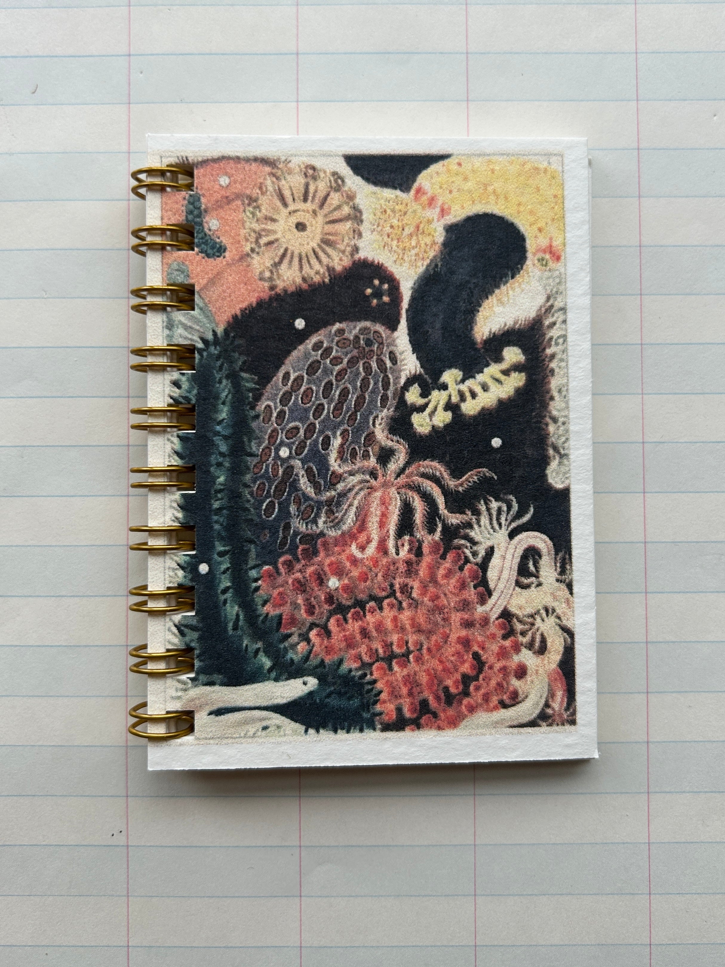 Ocean Life Teeny Tiny Pocket Notebook