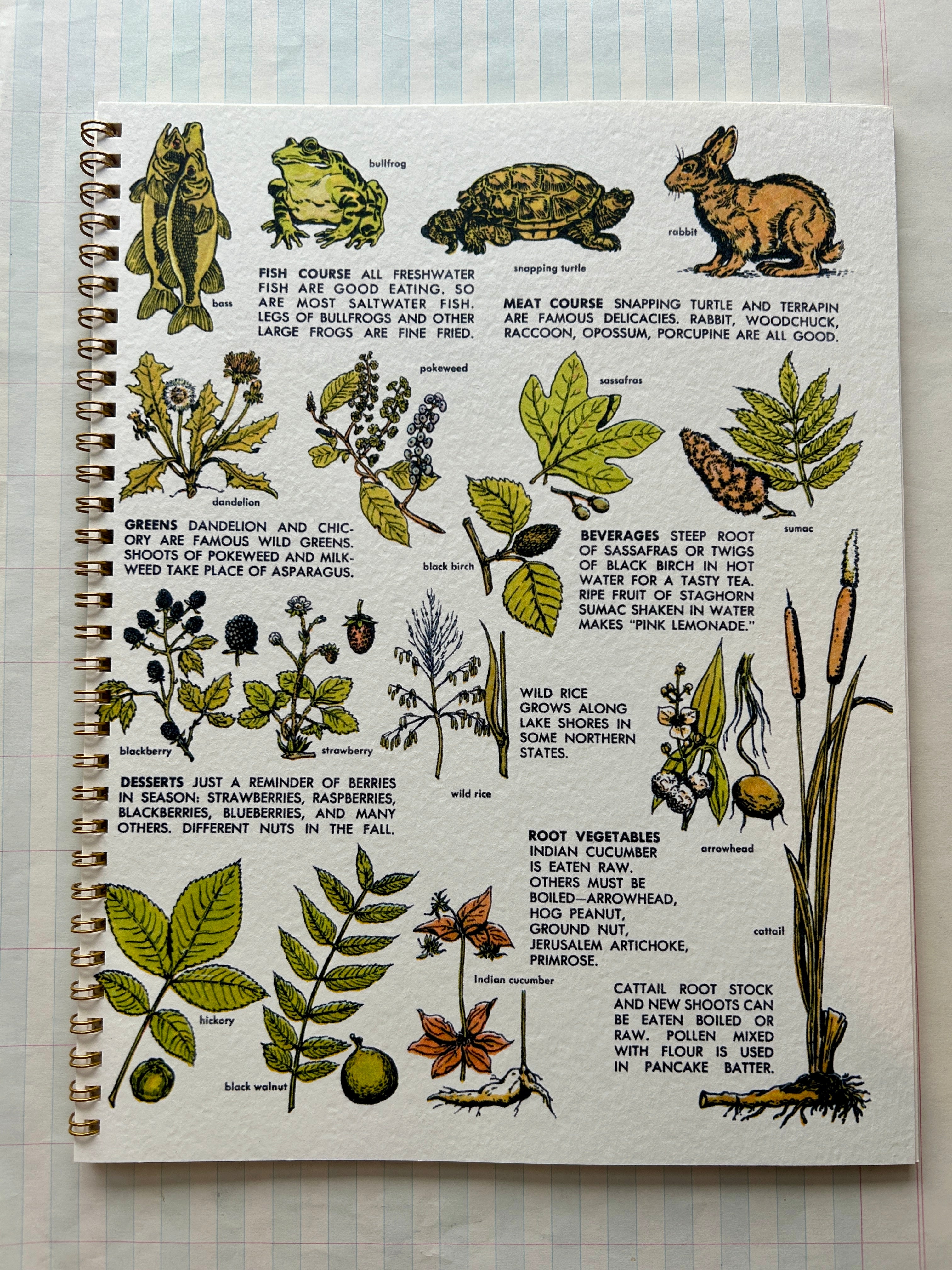 Nature Guides Notebooks