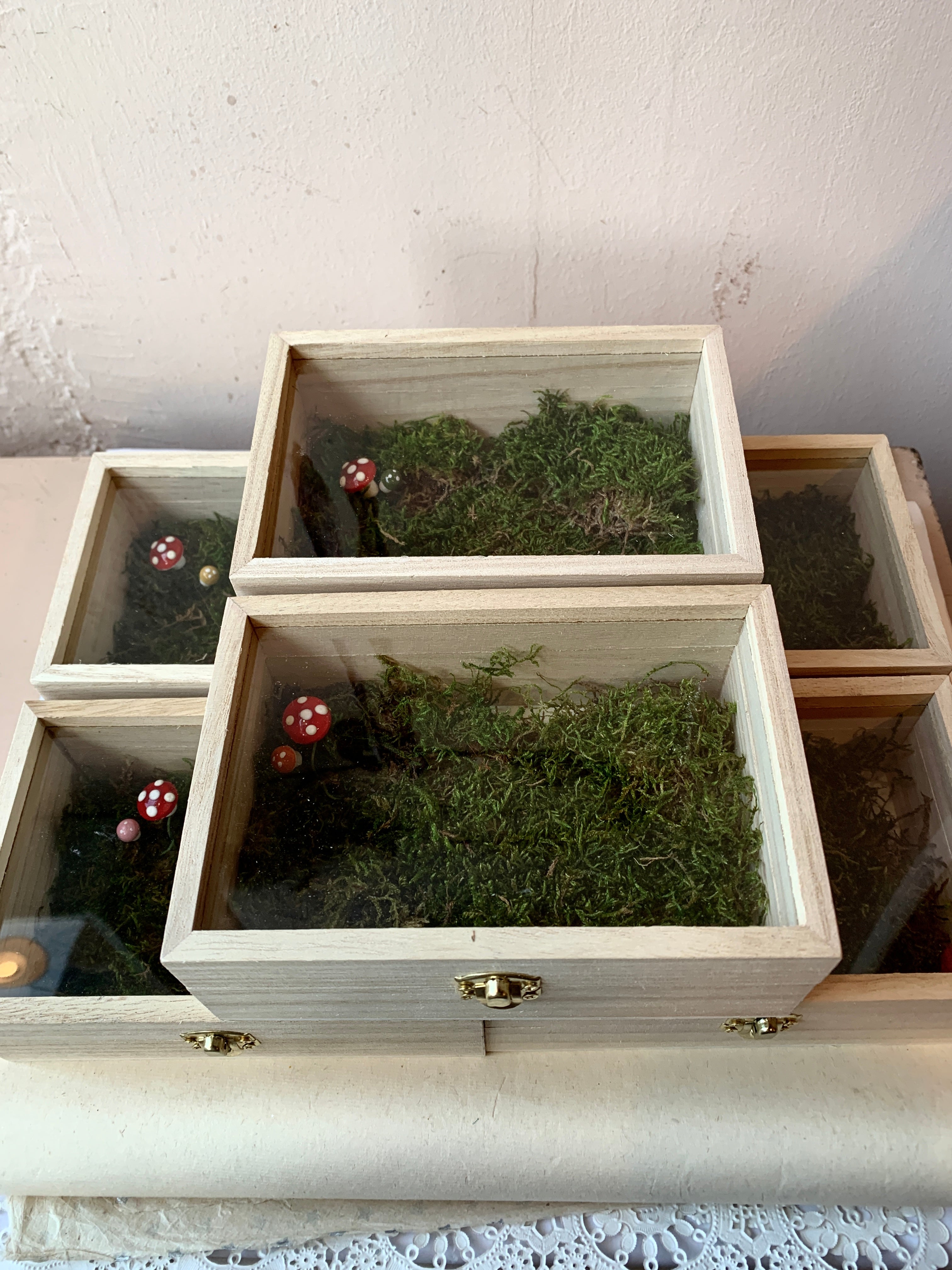 Mossy Memory Box