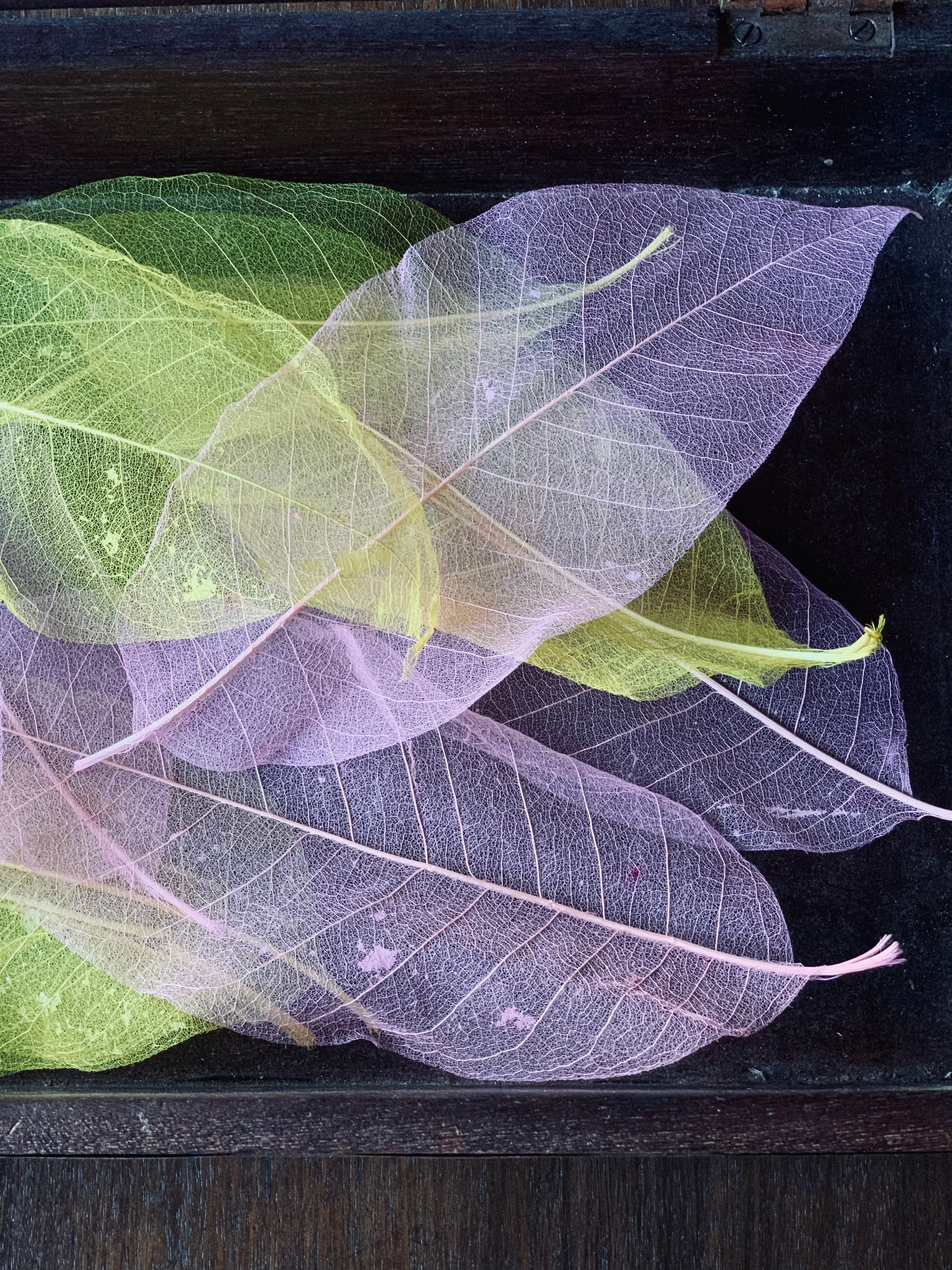 Sheer Hand-Dyed Leaves