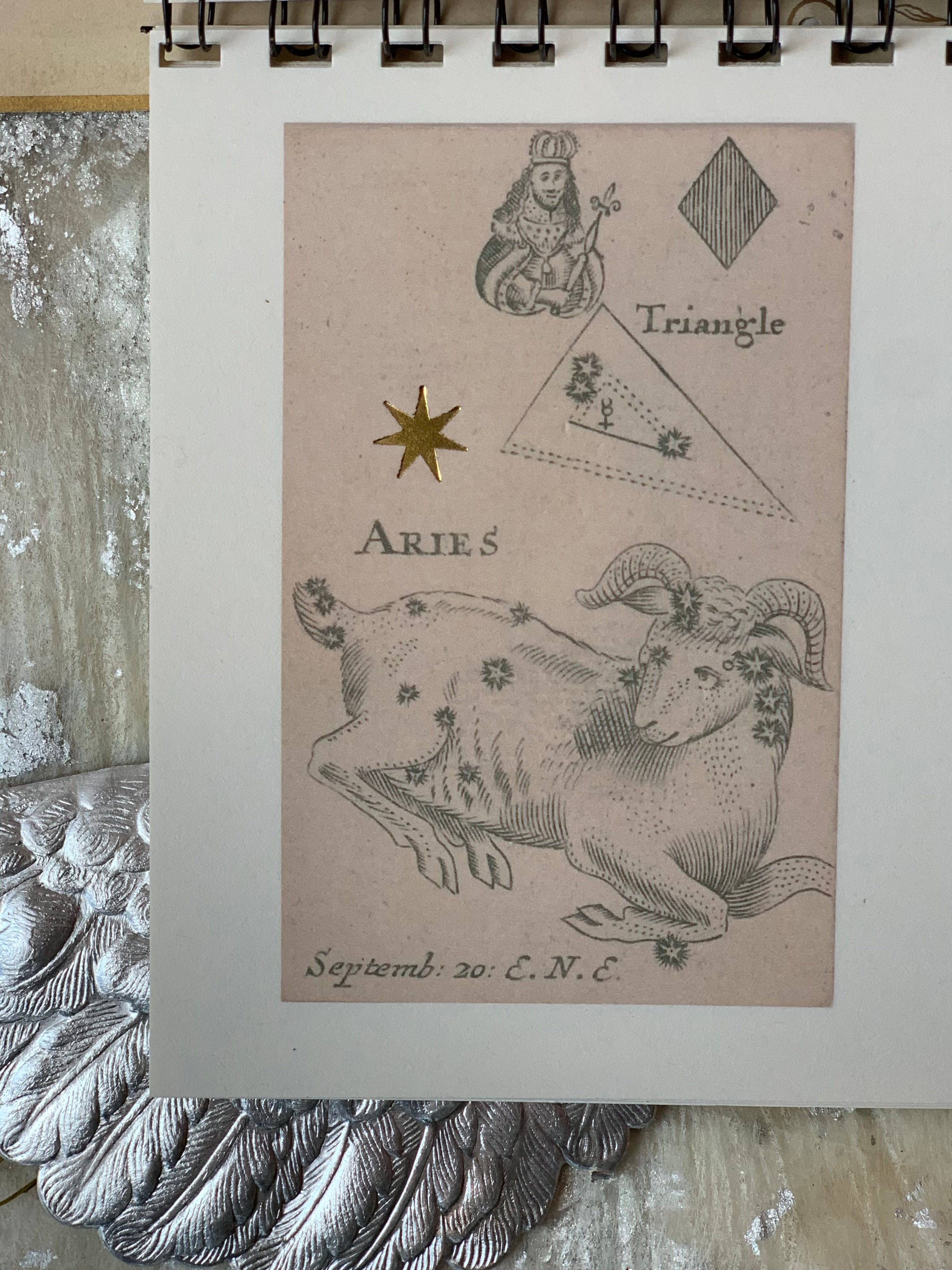 Parcel Stars and Signs Calendar