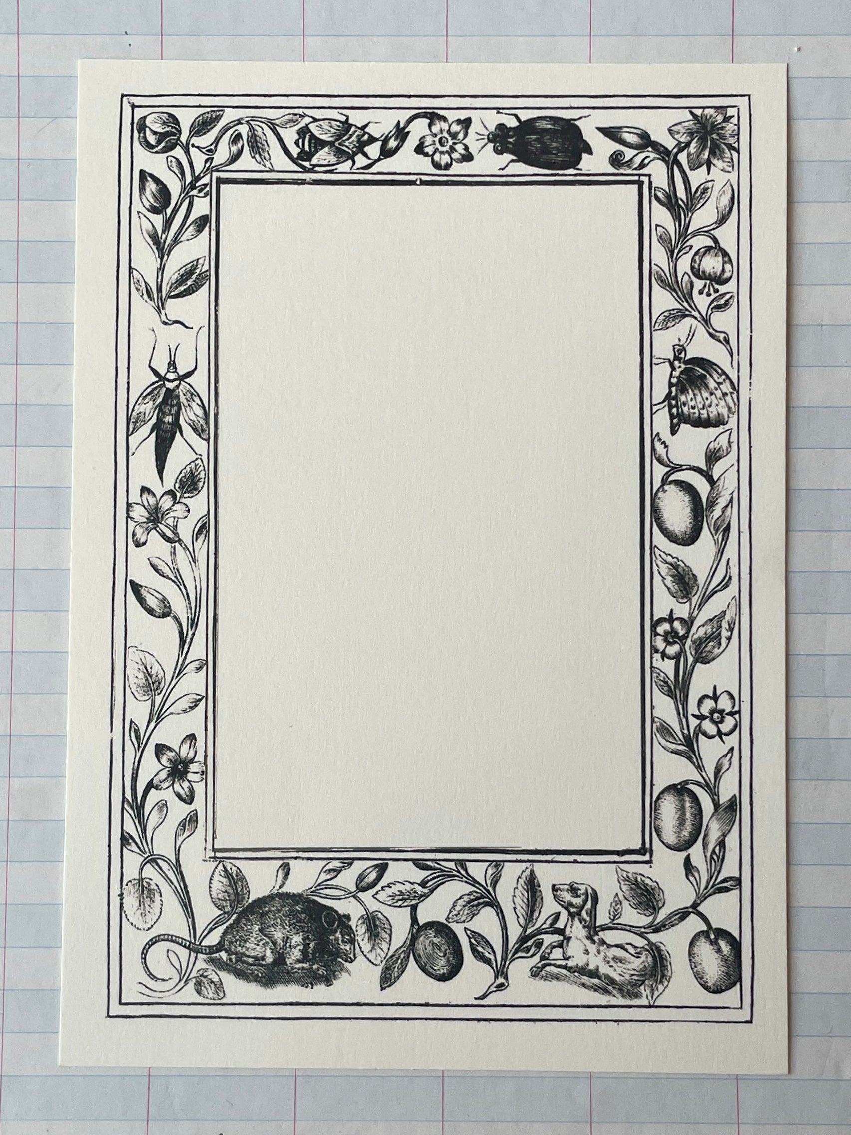 Naturalist Frames Printed Stationery