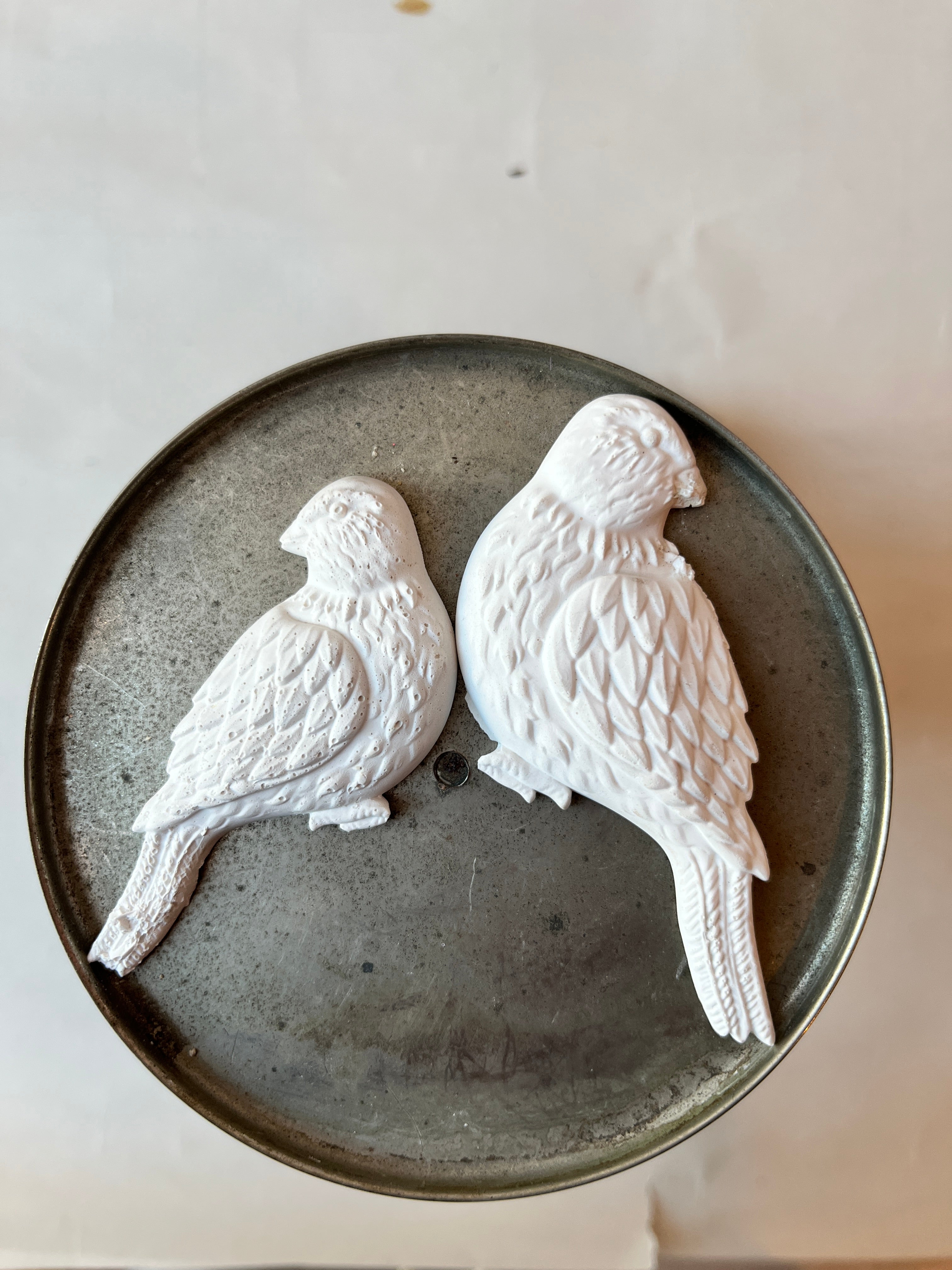 Plaster Bird Partners