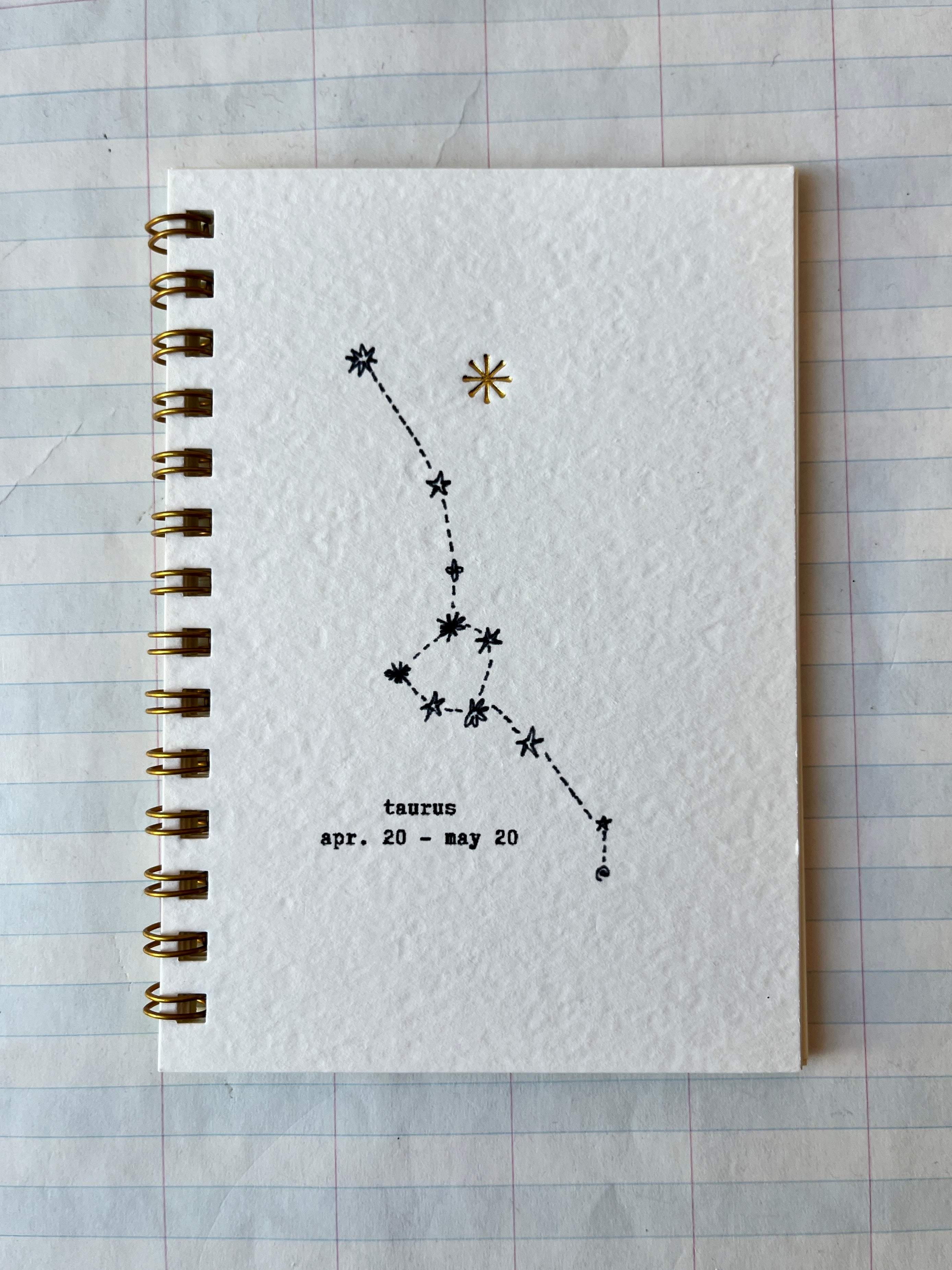 Mini Zodiac Notebooks