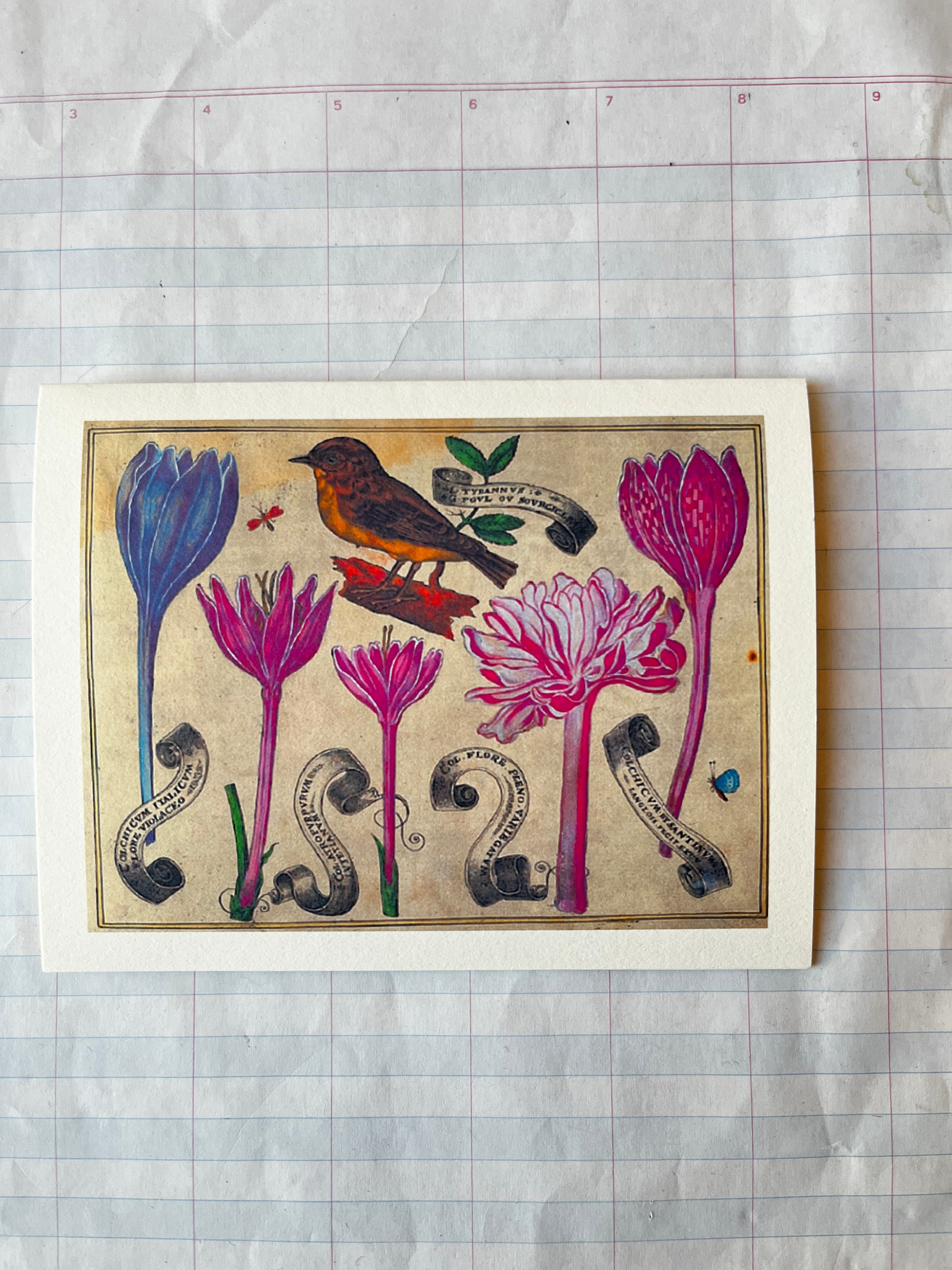 Bird and Flowers Folded Card Set