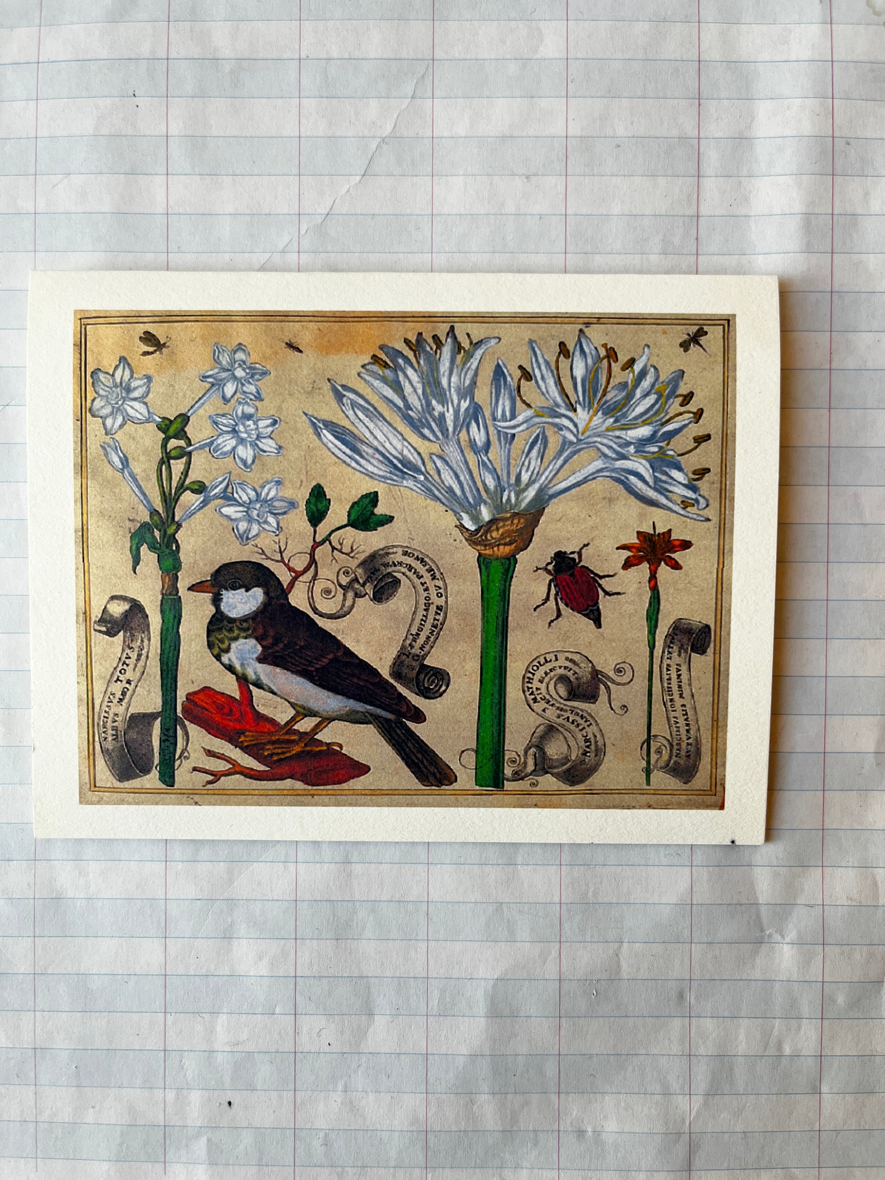 Bird and Flowers Folded Card Set