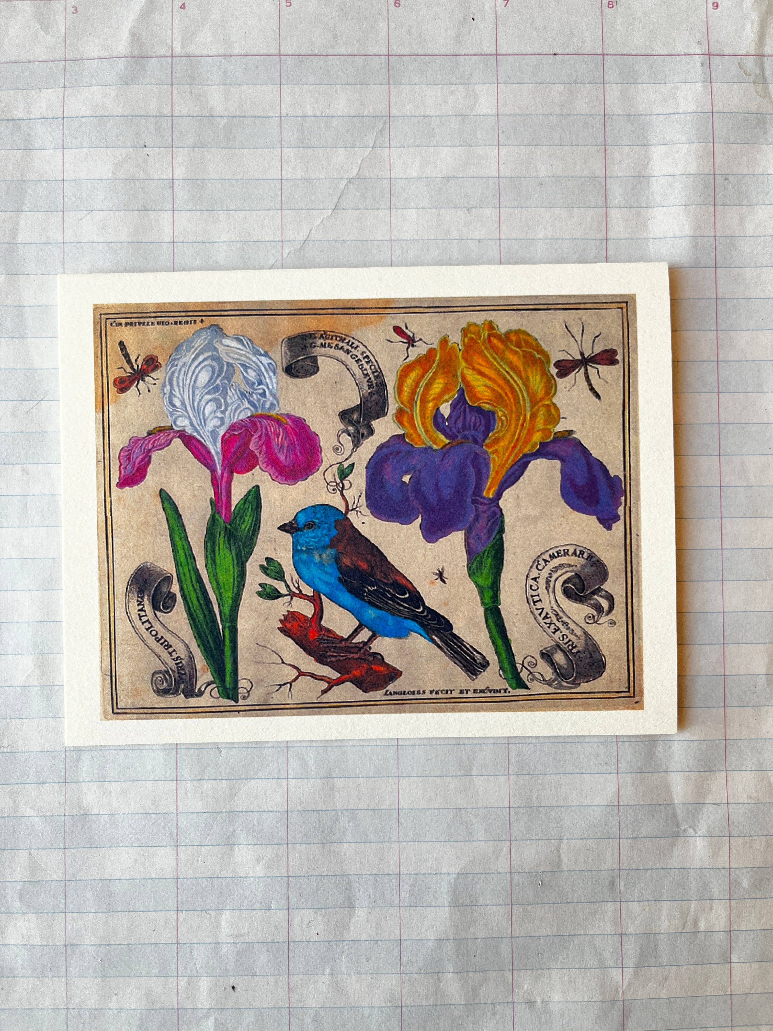 Bird and Flowers Folded Card Set