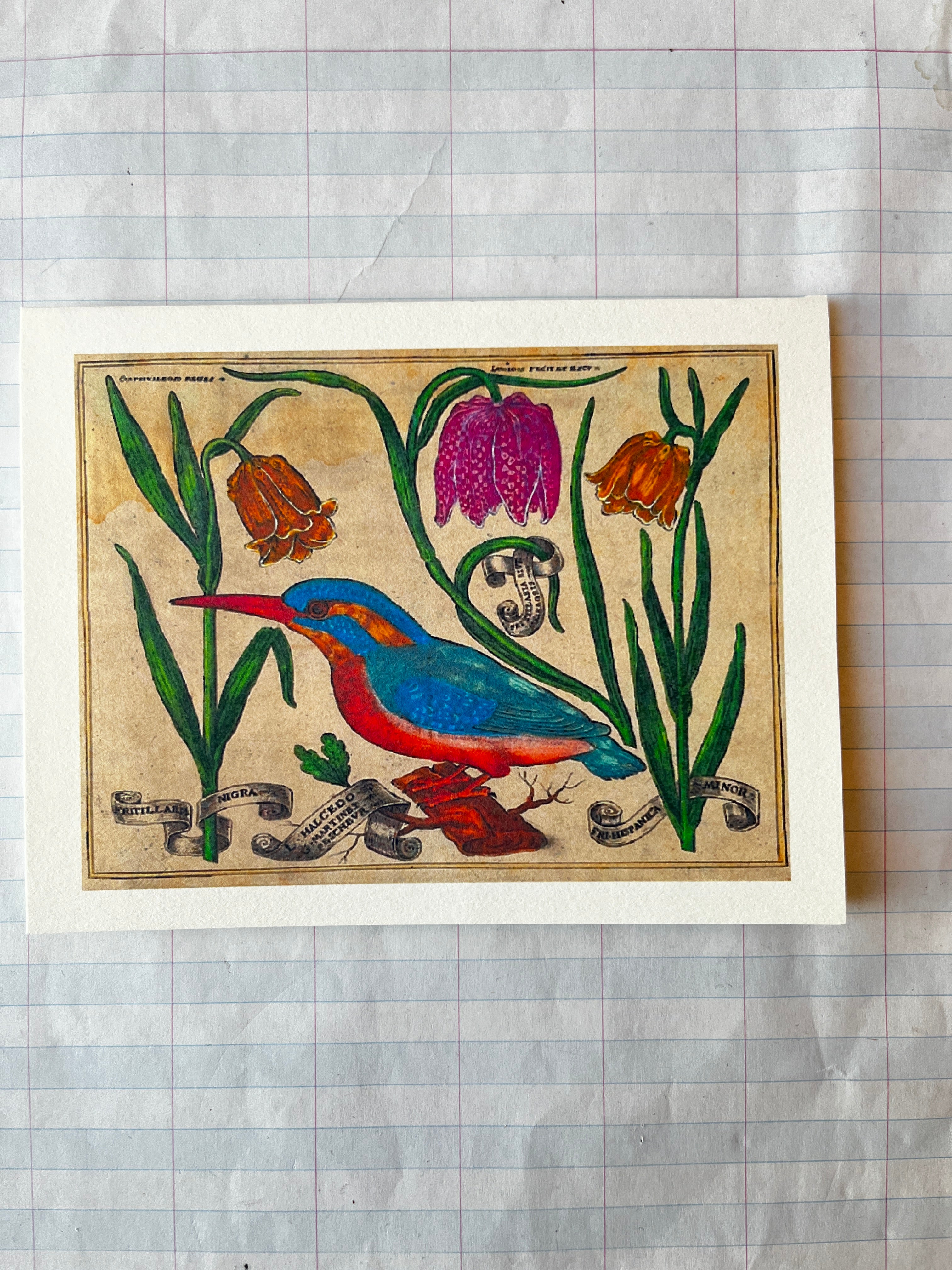 Bird and Flowers Folded Card Set