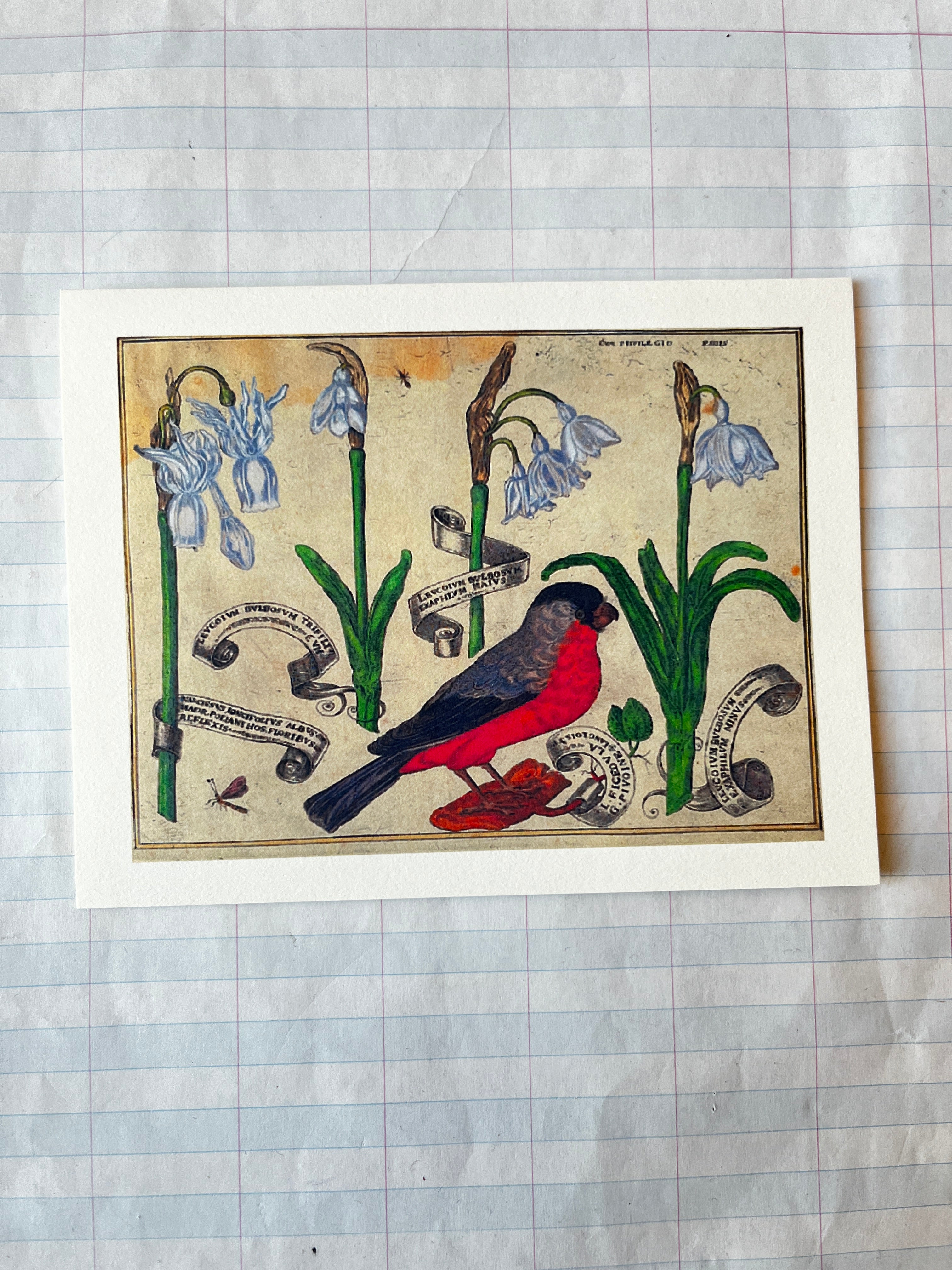 Bird and Flowers Folded Card Set