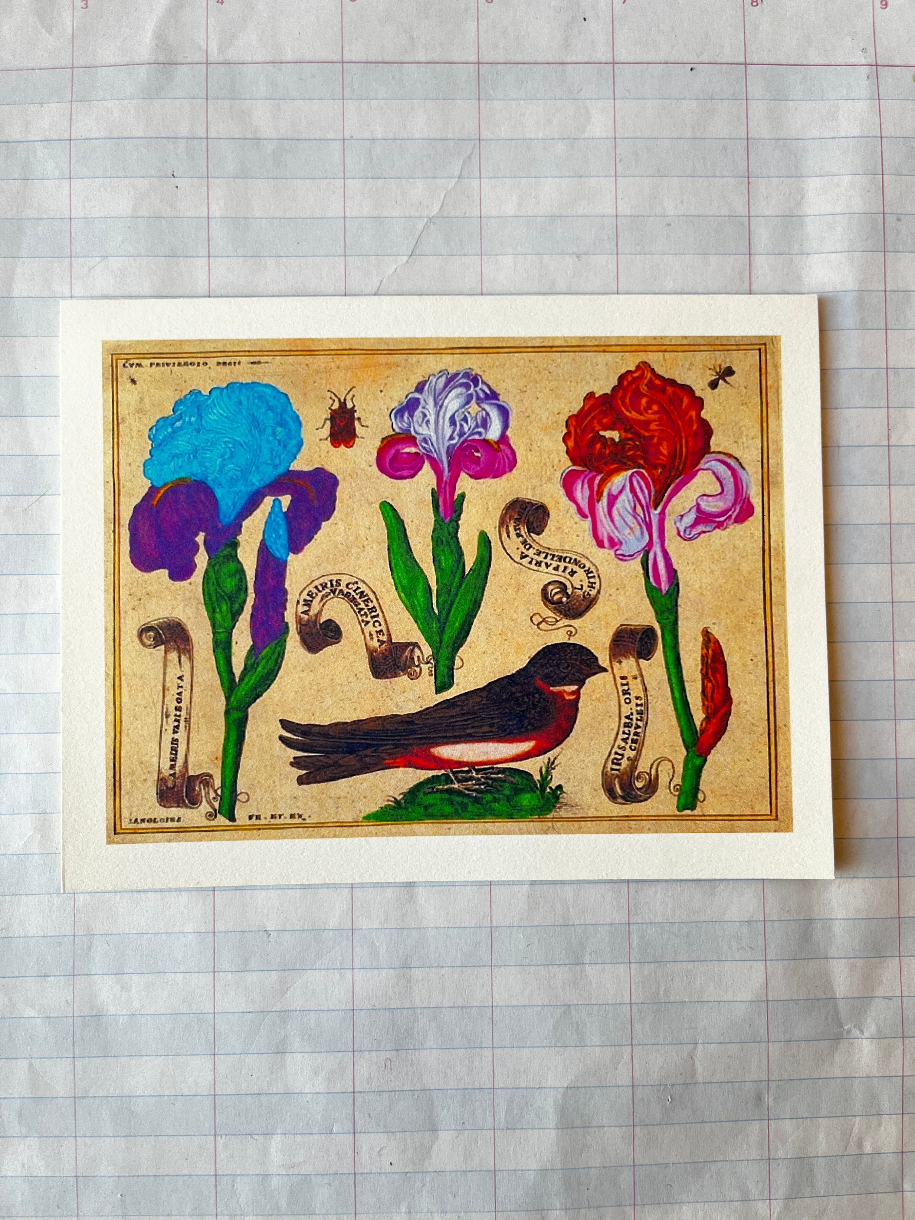 Bird and Flowers Folded Card Set