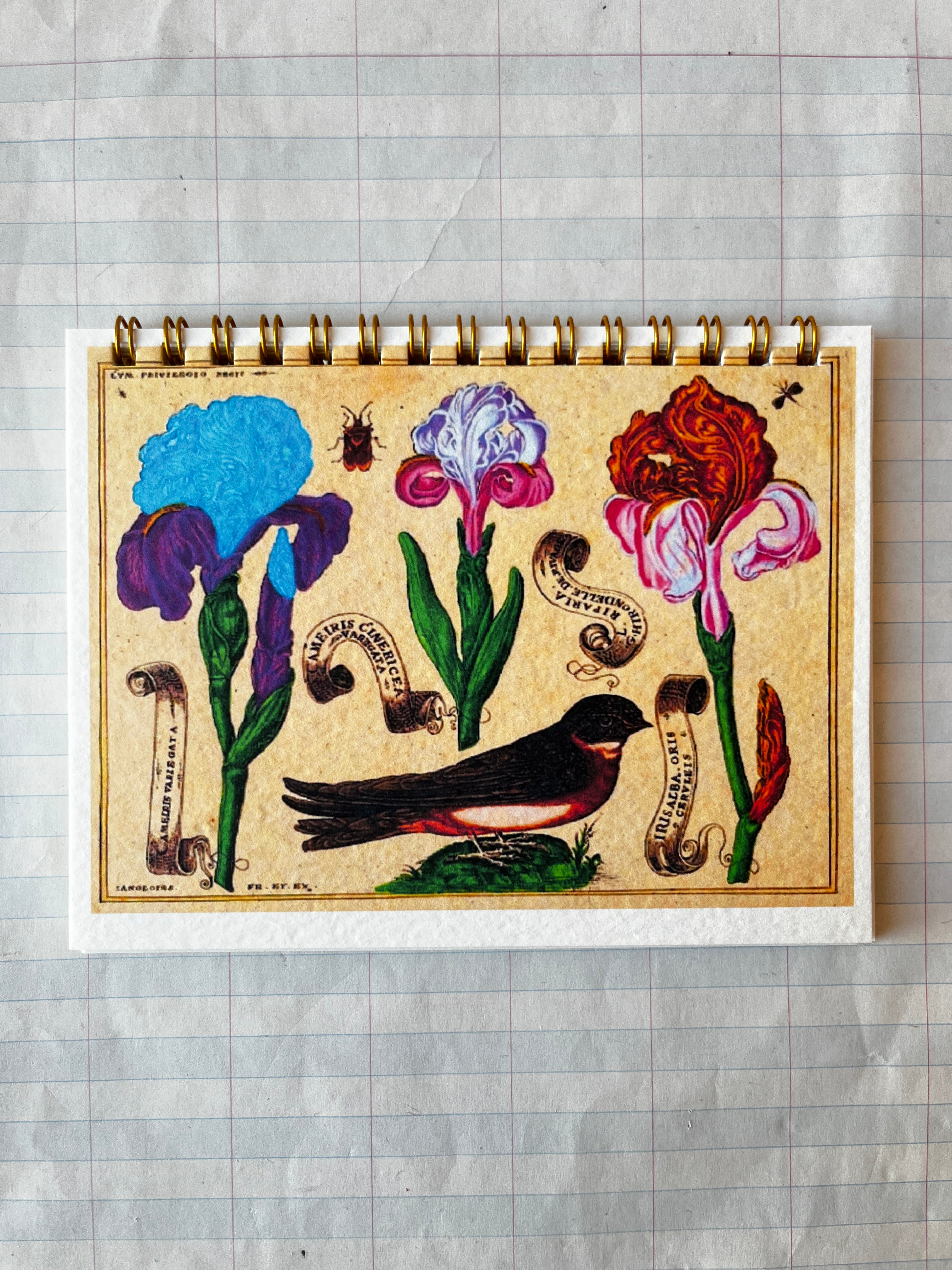 Bird and Flowers Notebook