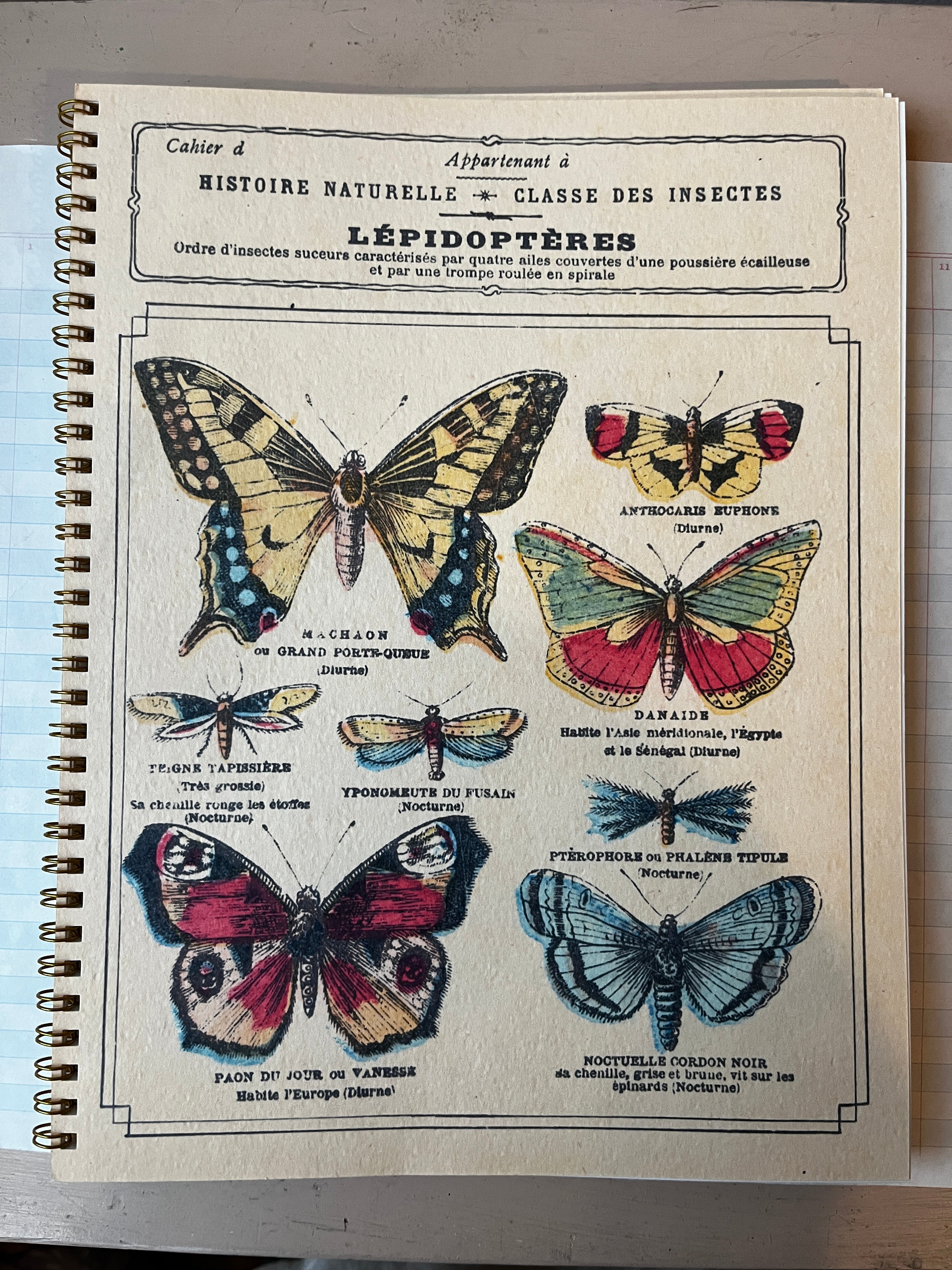 Classe Des Insects Notebook