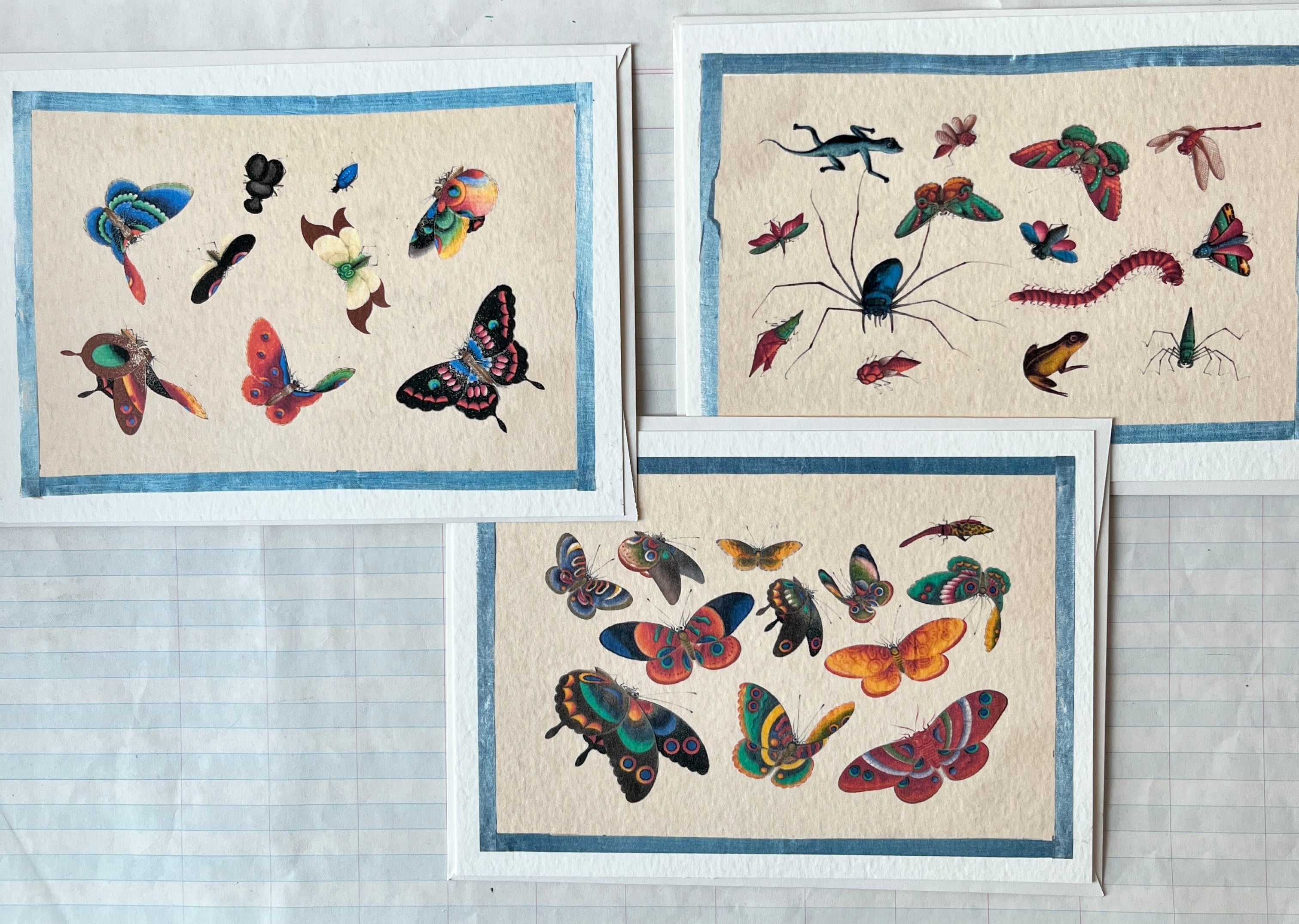 Insecta Art Cards II