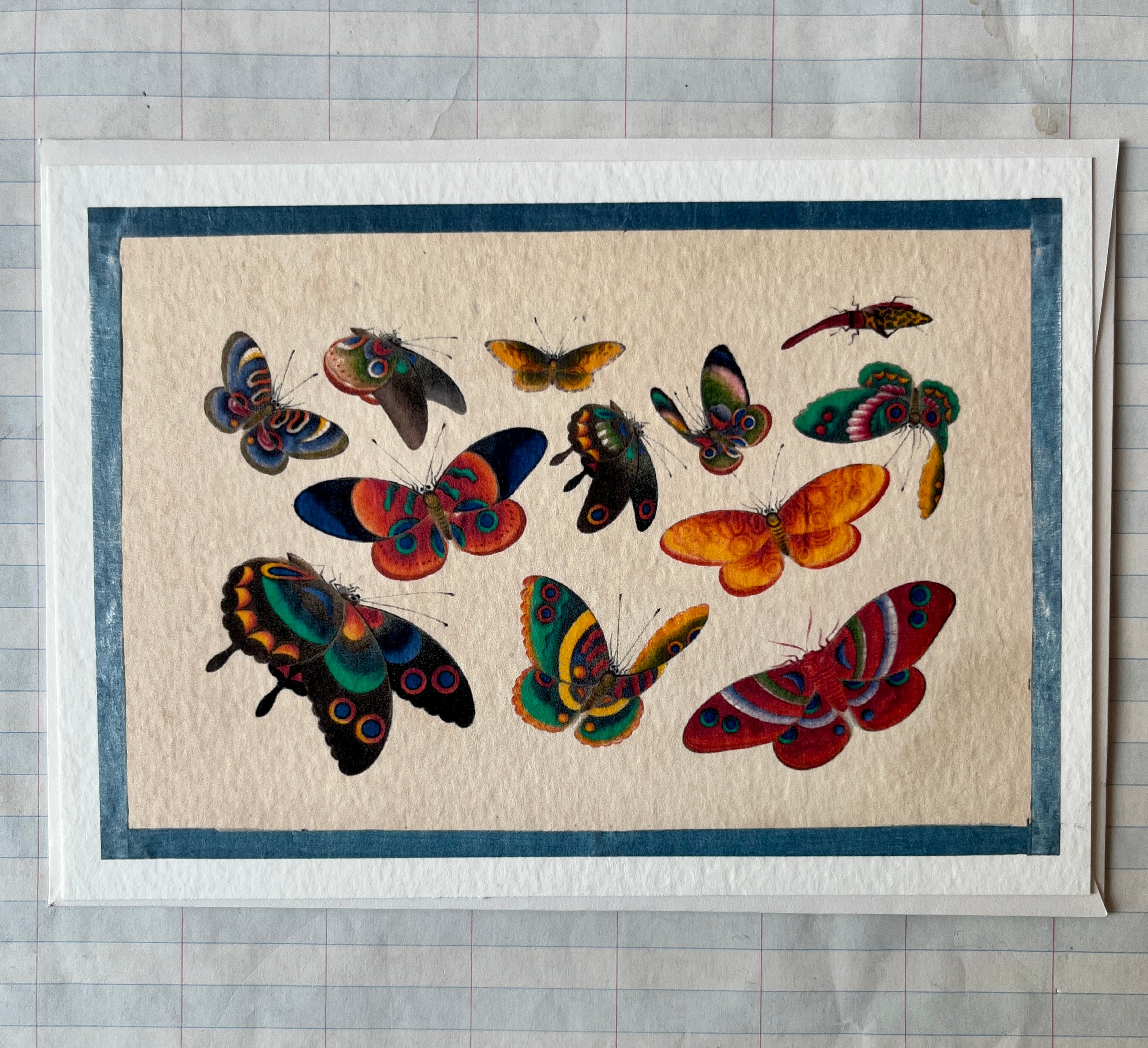 Insecta Art Cards II