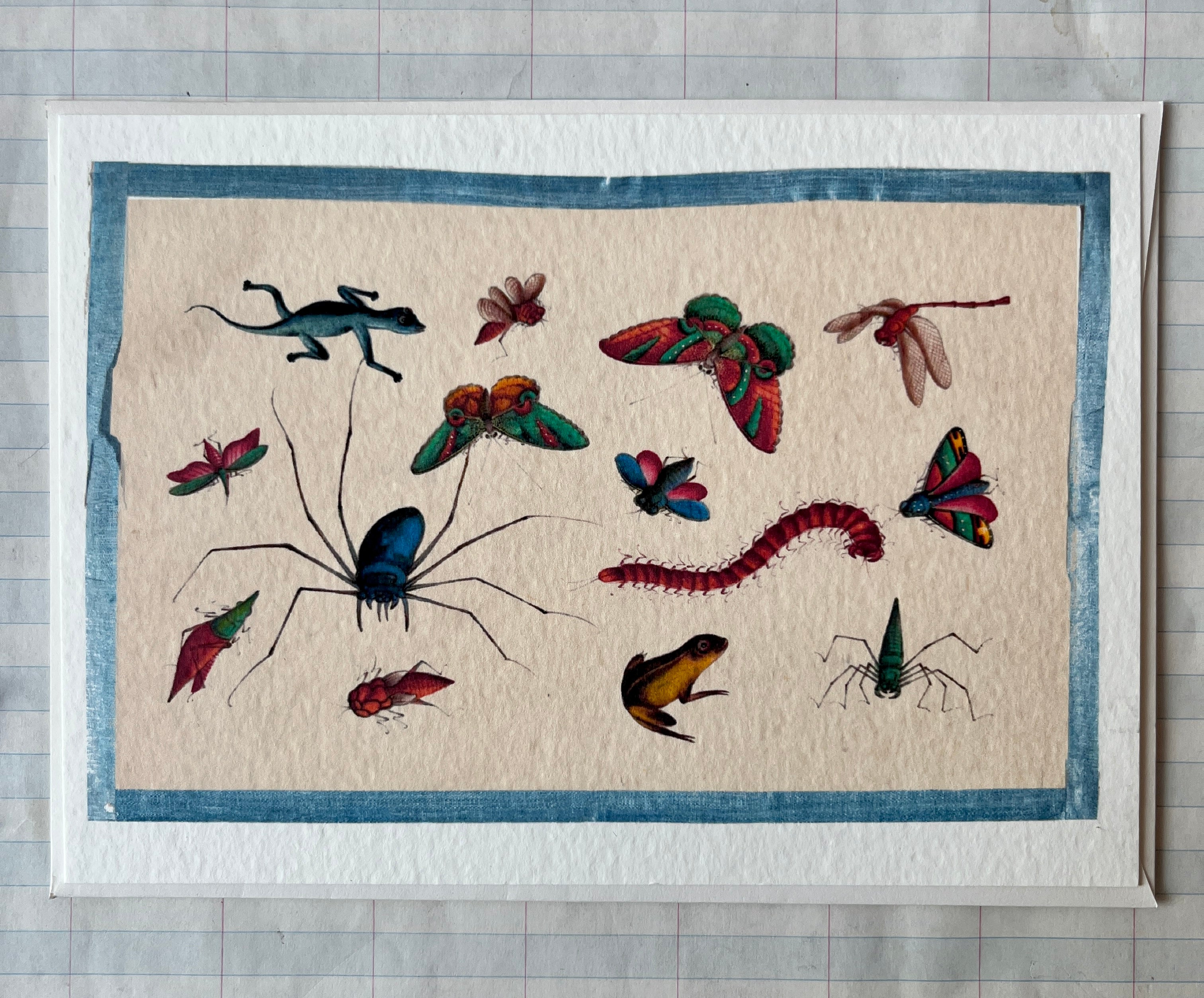 Insecta Art Cards II