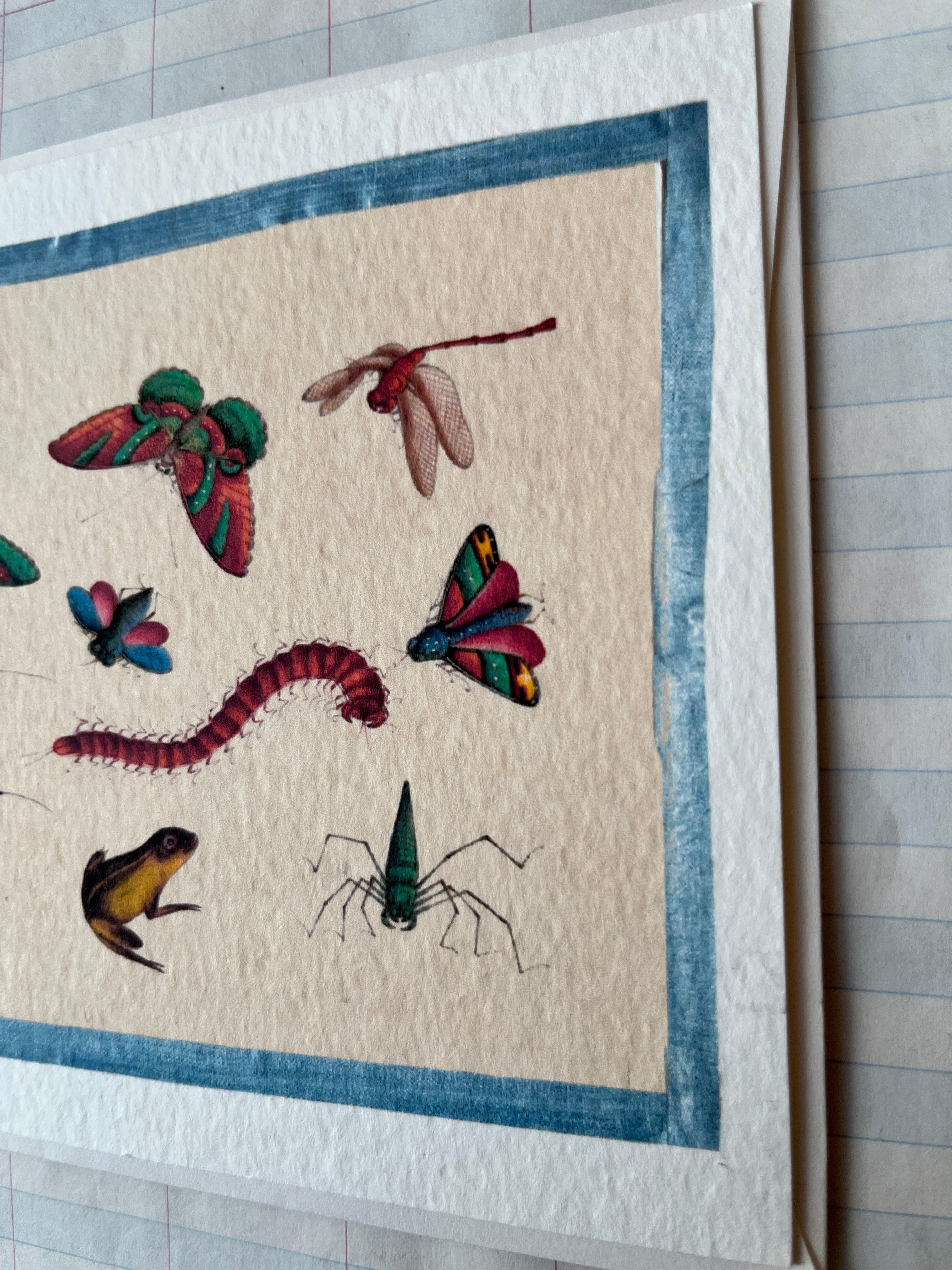 Insecta Art Cards II
