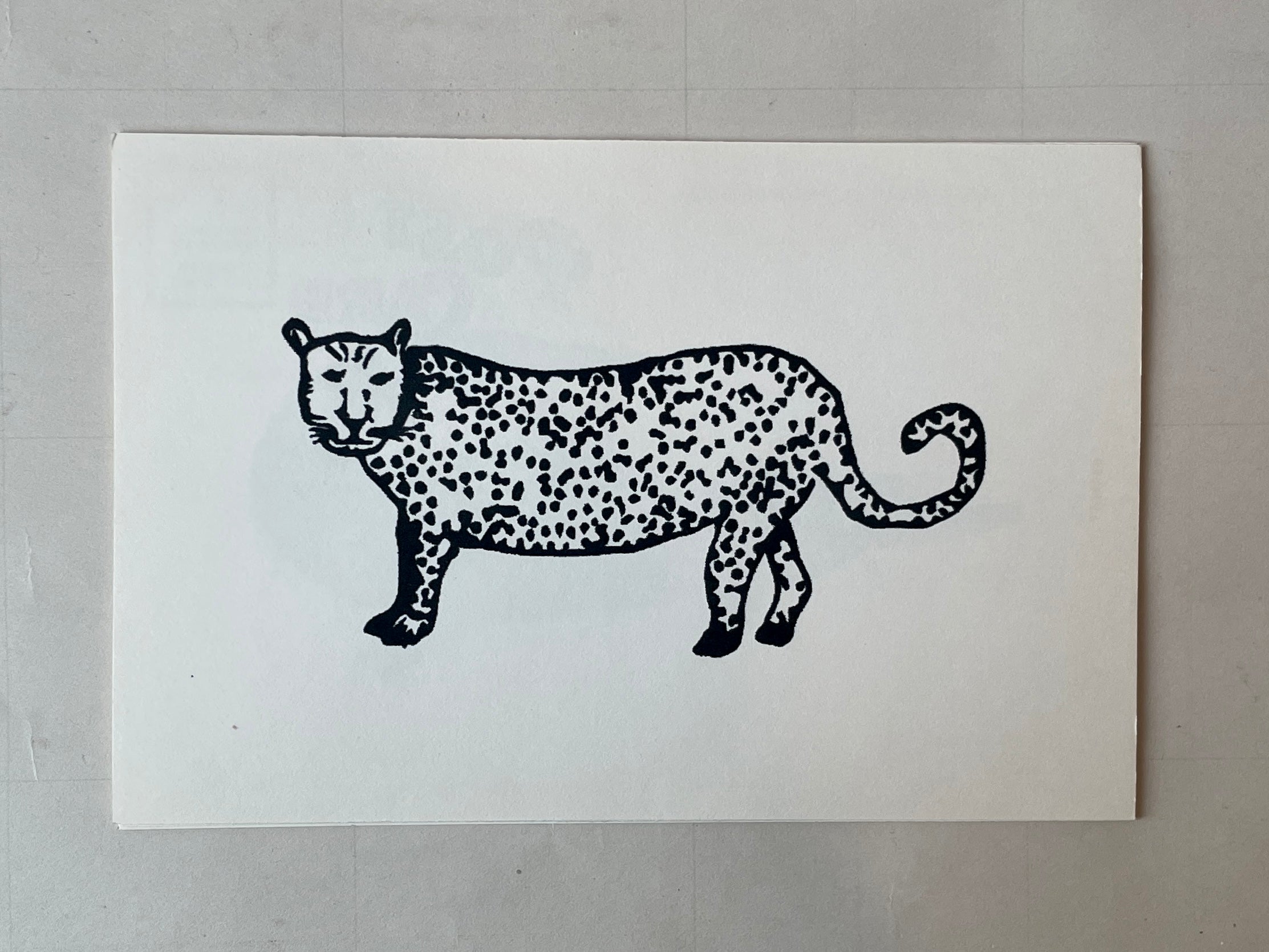 Wild Animal Post Card Set