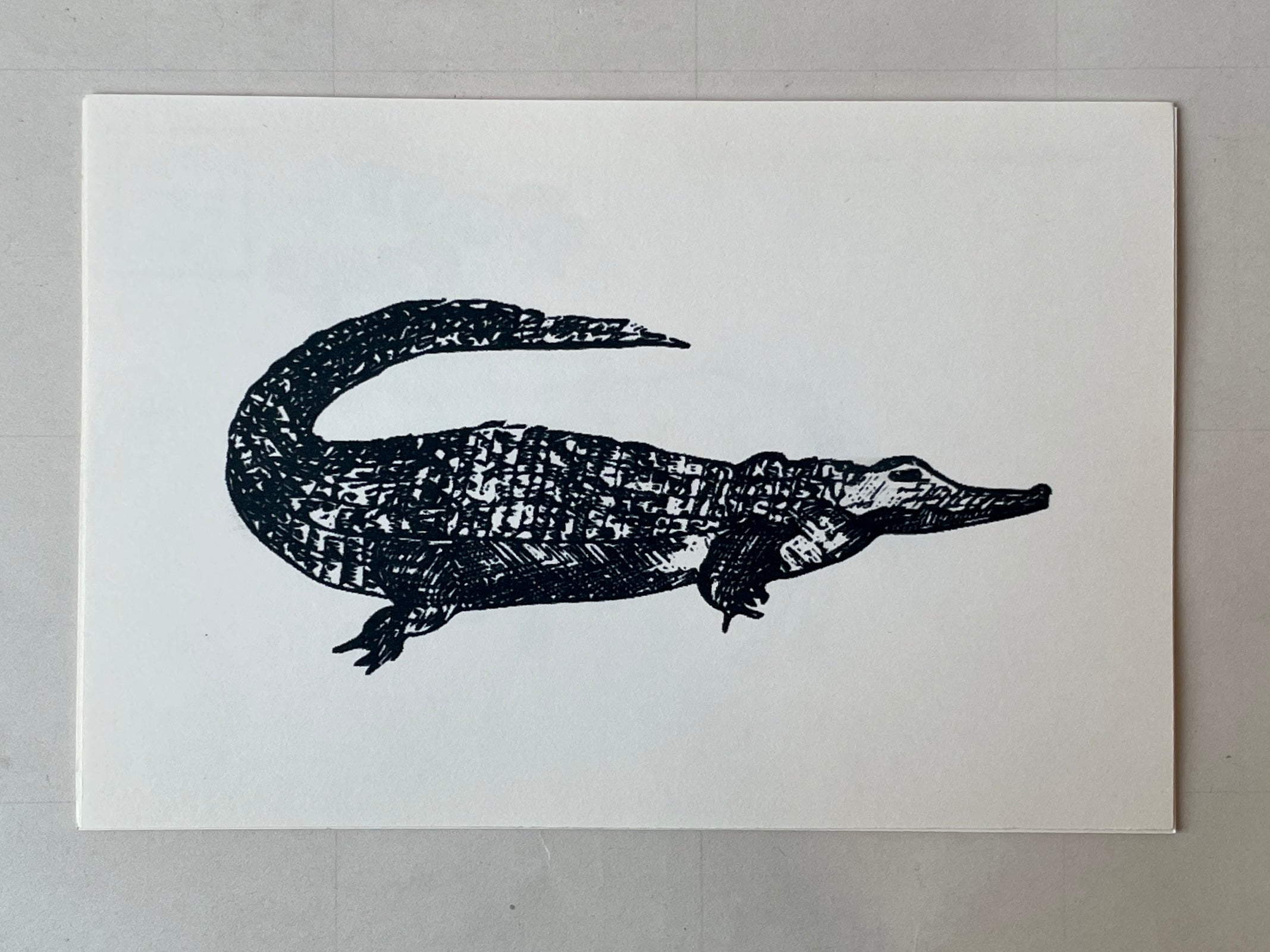 Wild Animal Post Card Set
