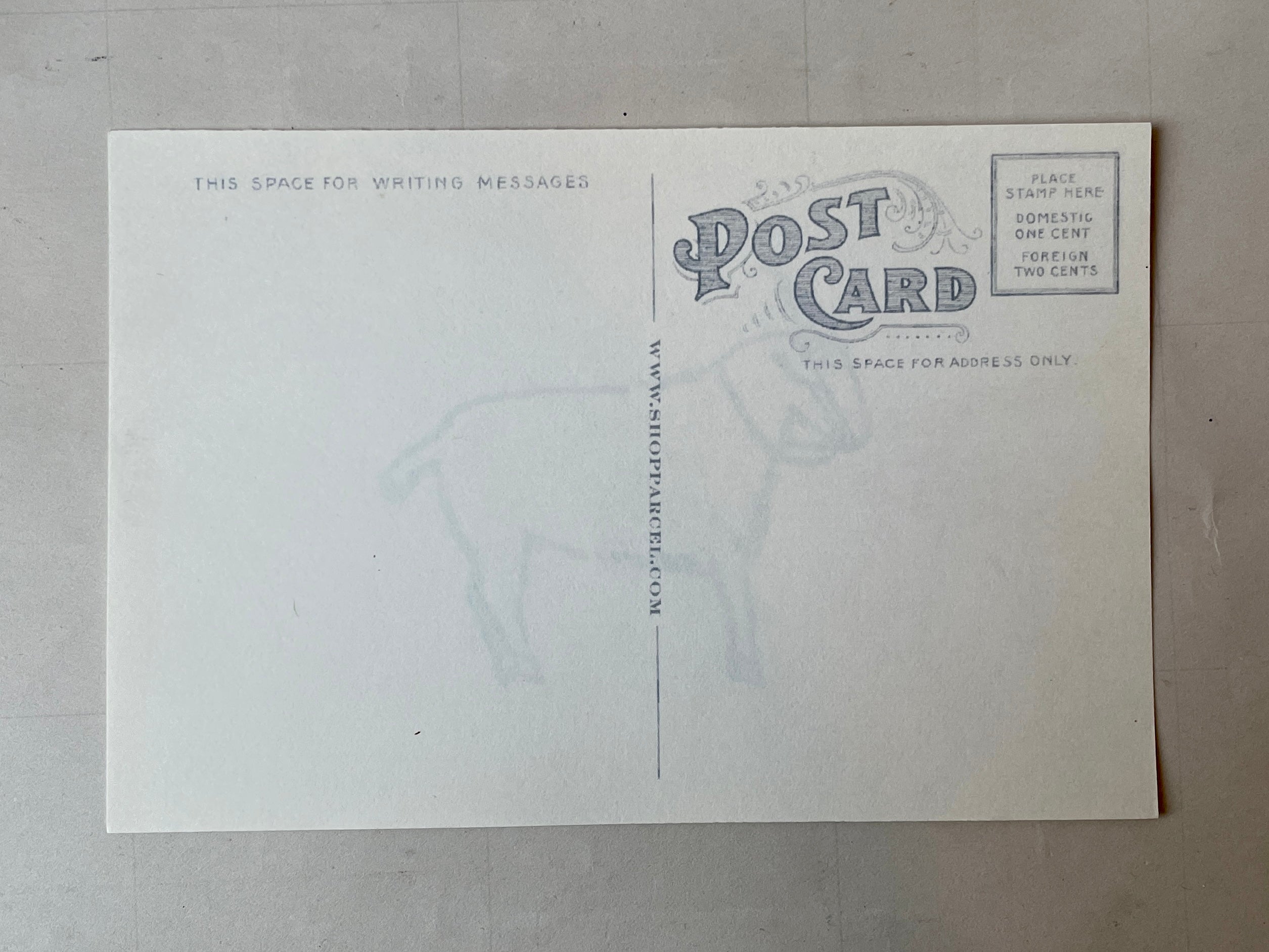 Wild Animal Post Card Set