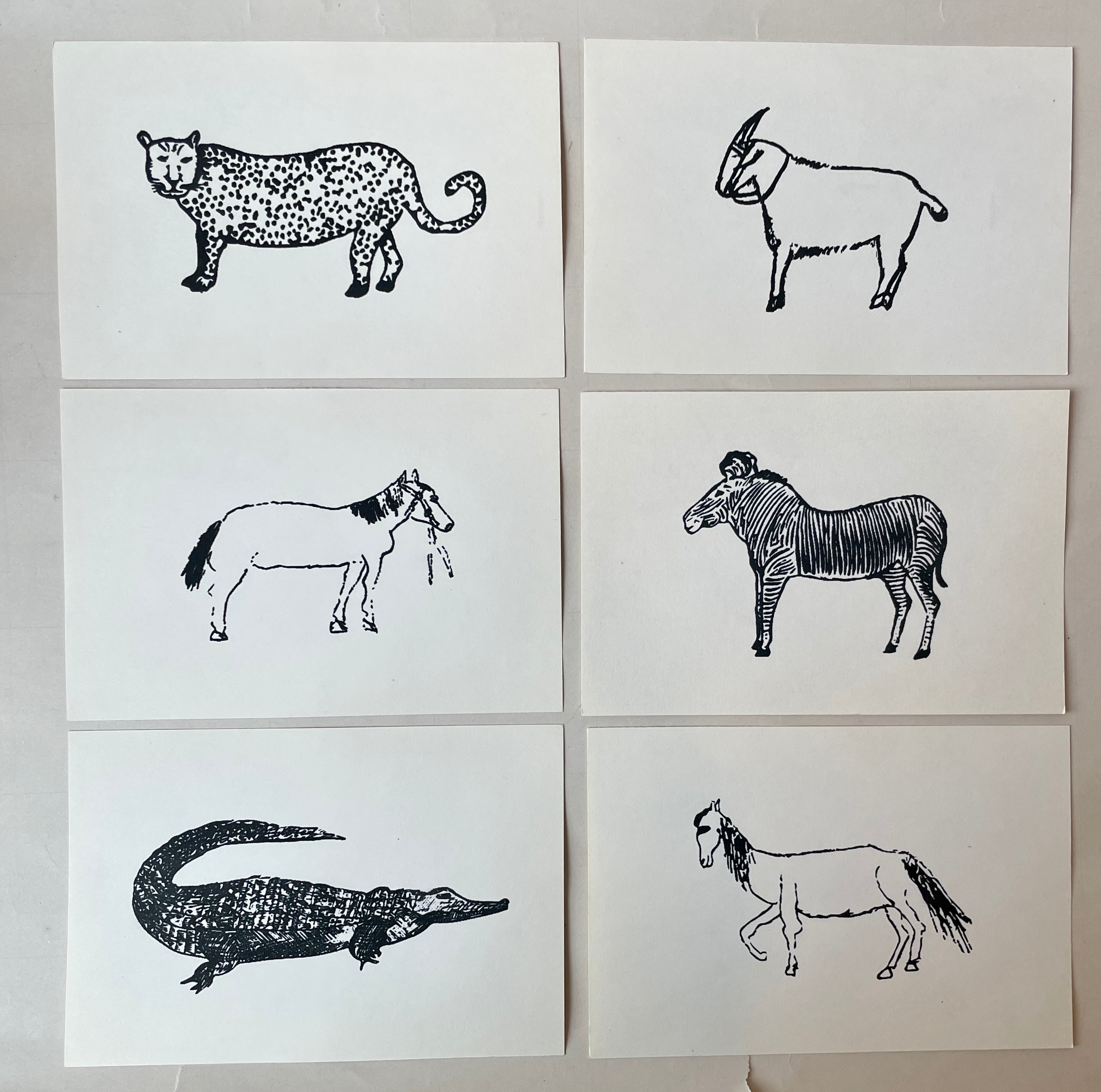 Wild Animal Post Card Set