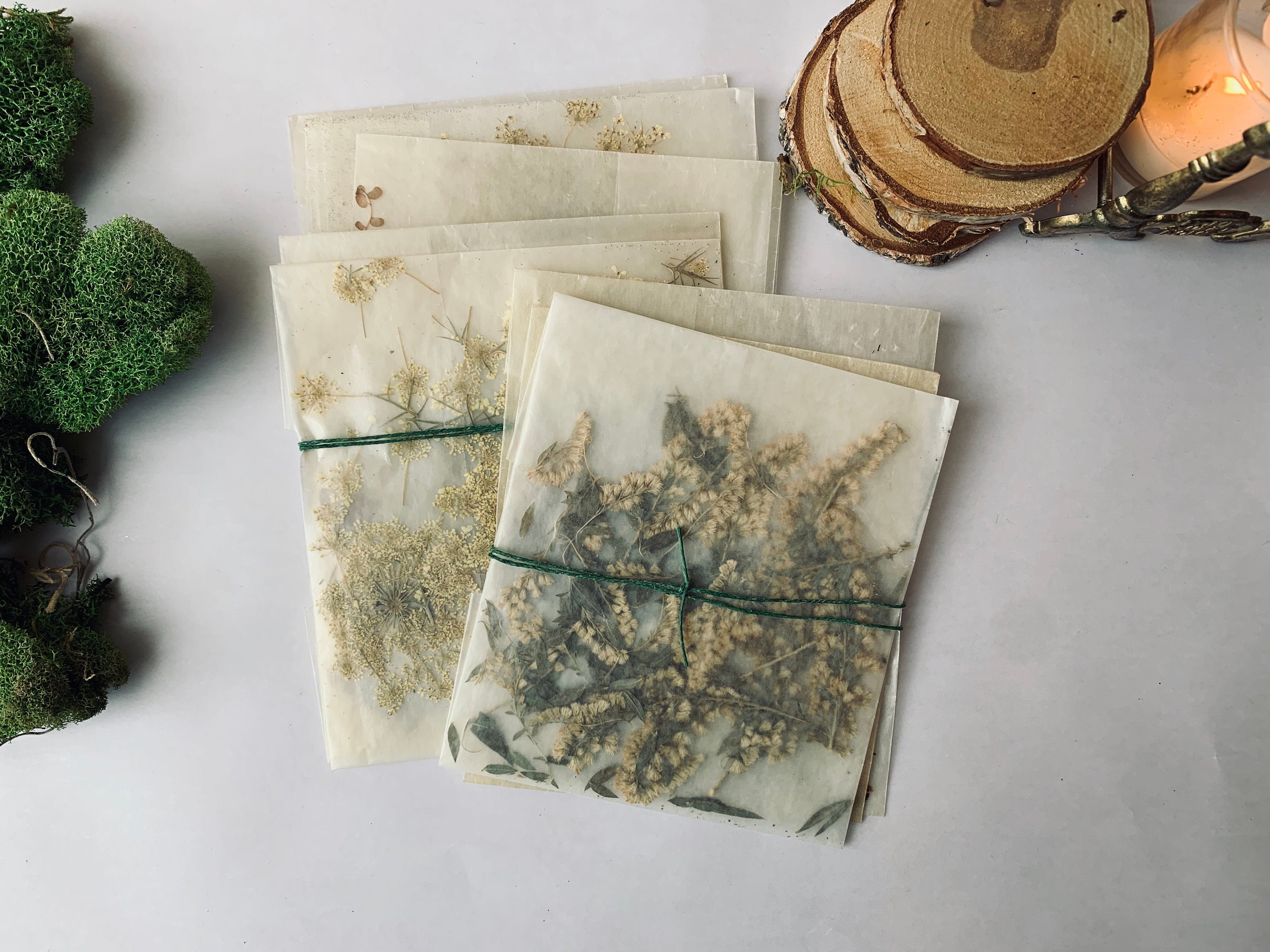 Pressed Flower Collection - PARCEL