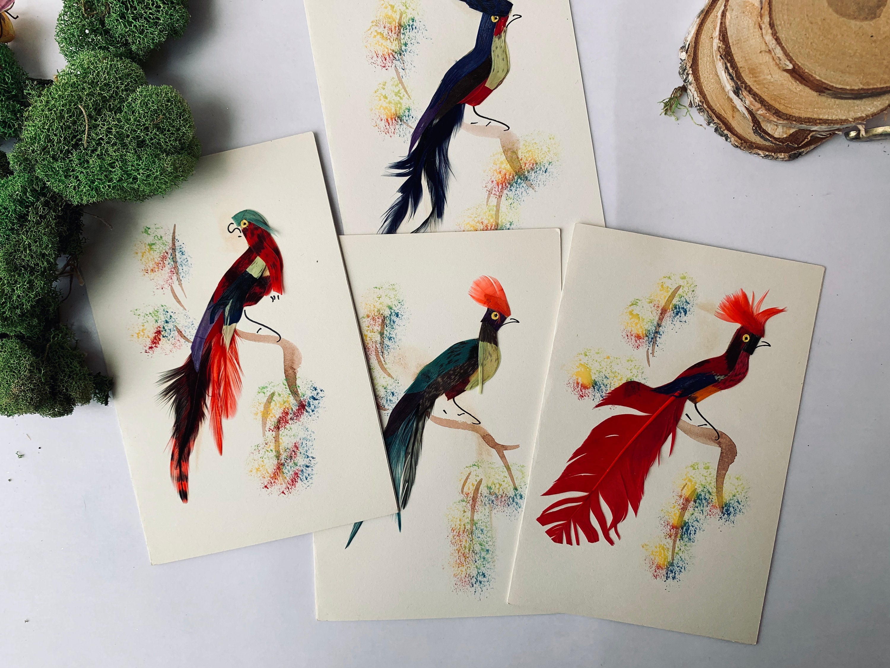 Vintage Mexican Bird Cards - PARCEL