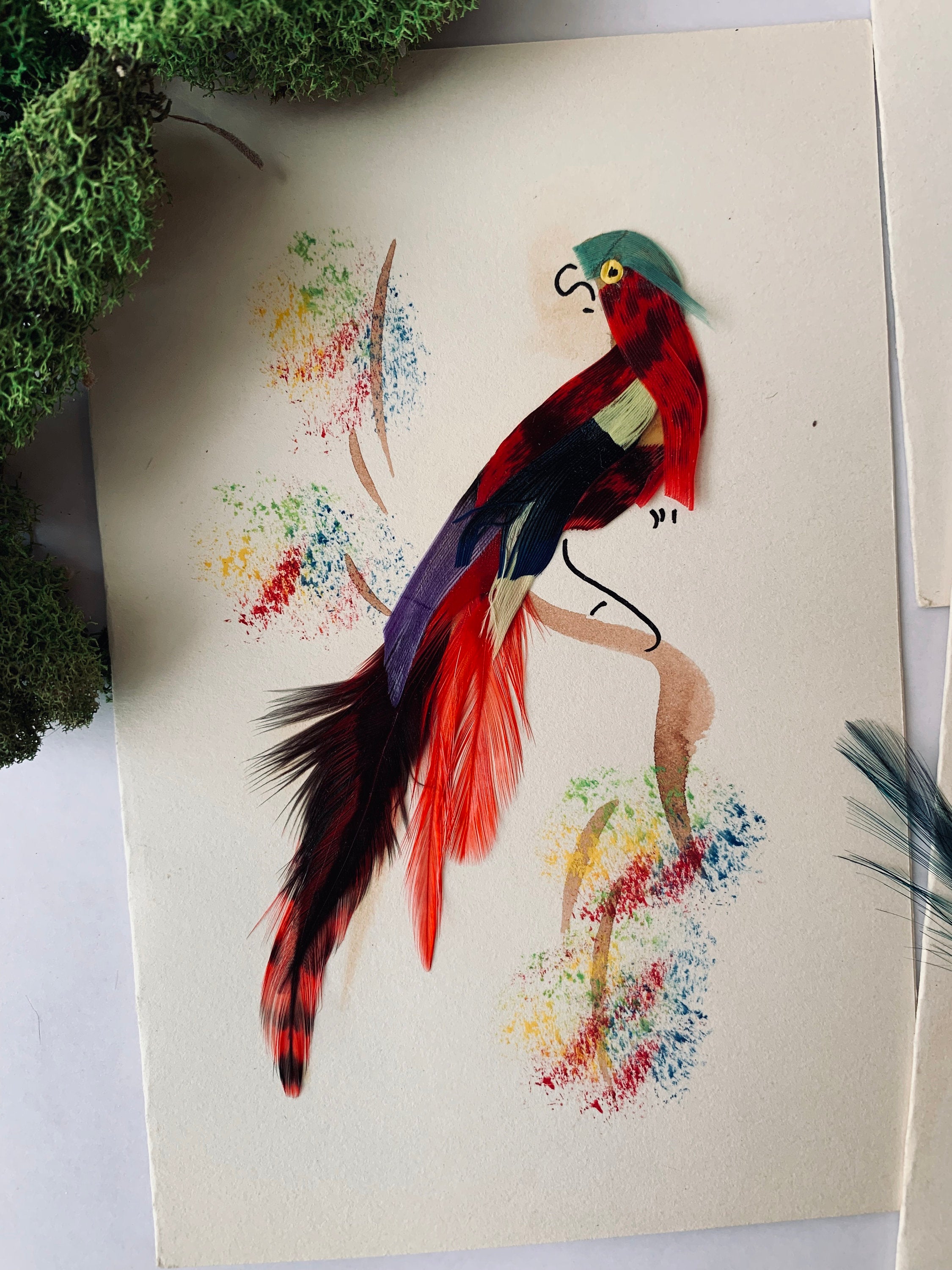 Vintage Mexican Bird Cards - PARCEL
