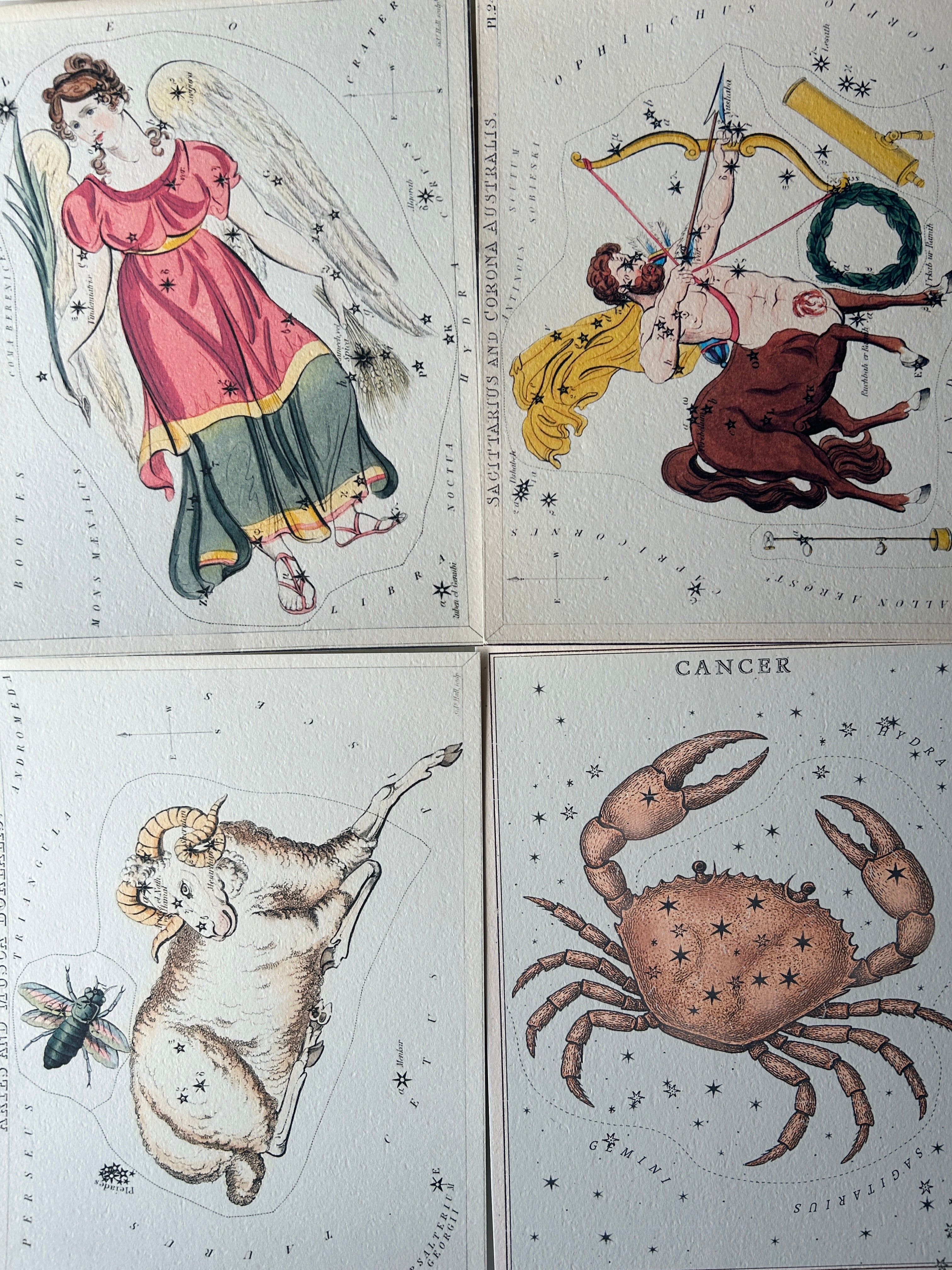 Zodiac Art Prints