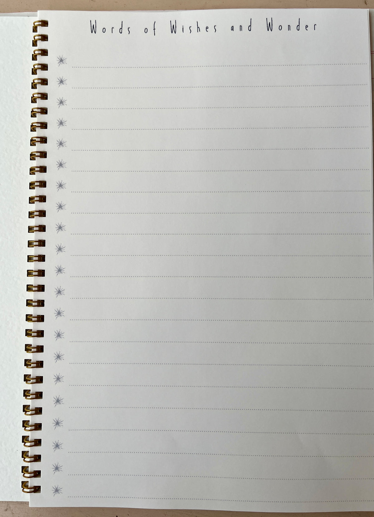 Wizard and Wishes Notebooks | PARCEL