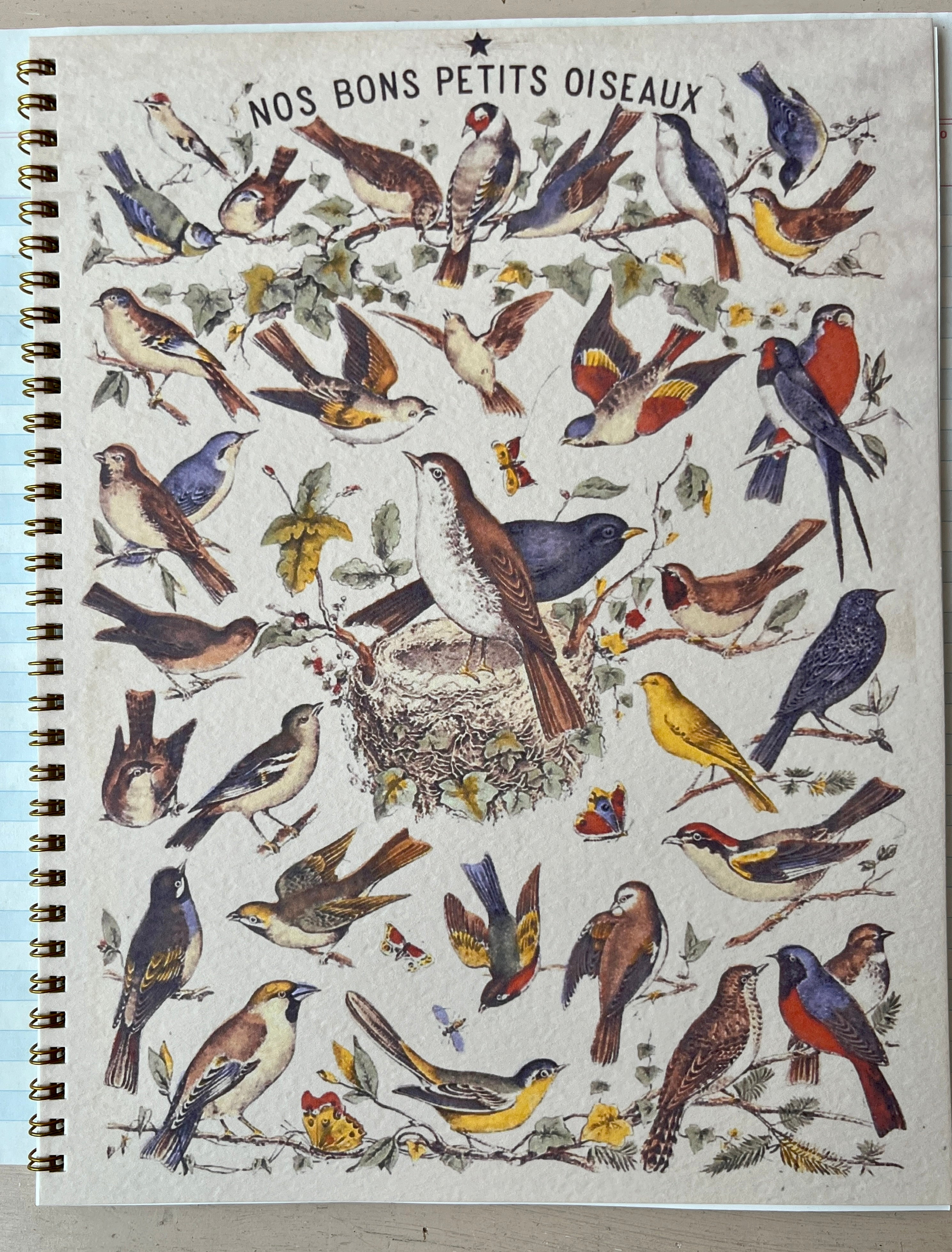 Petit Oiseaux Notebook