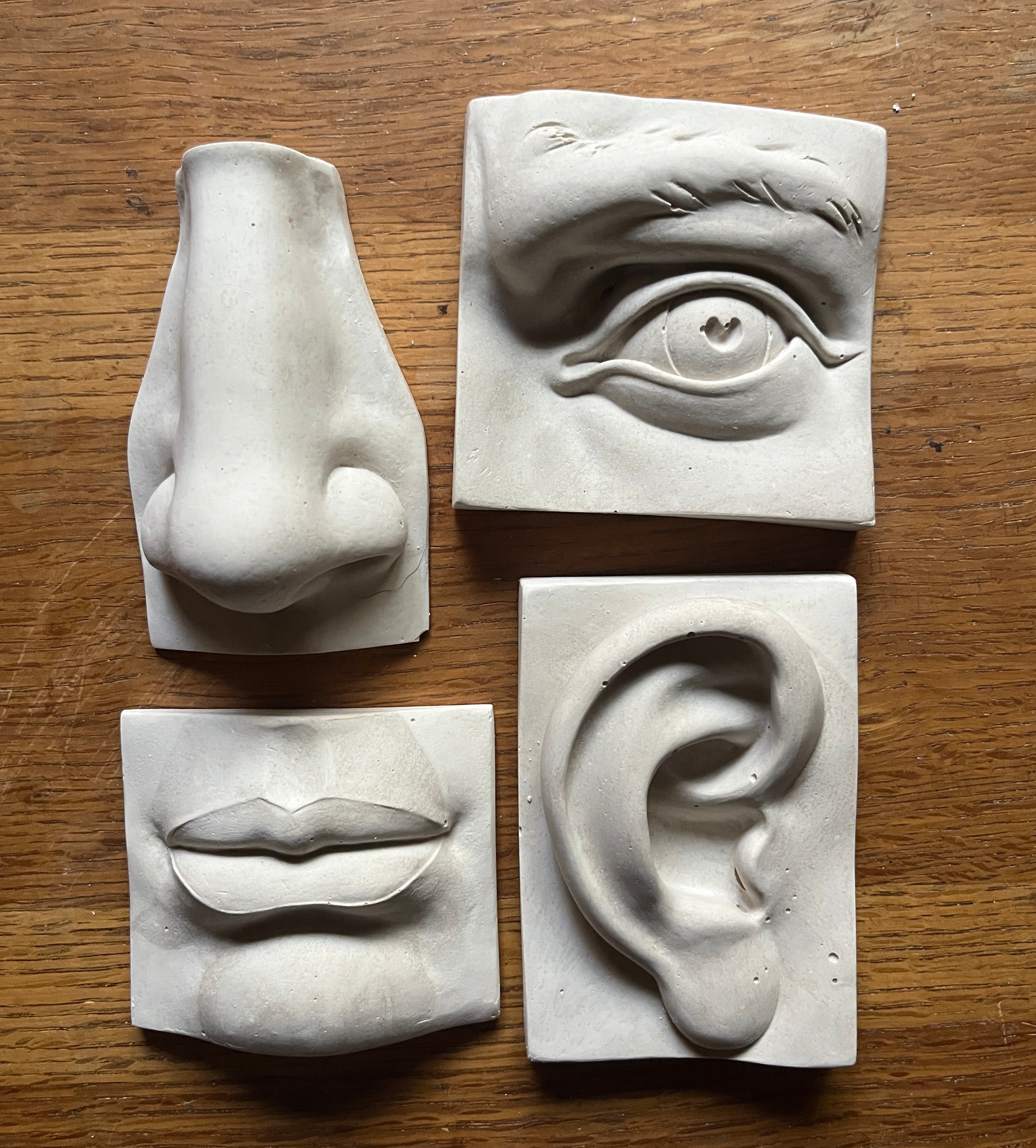 Five Senses Plaster Objects - PARCEL