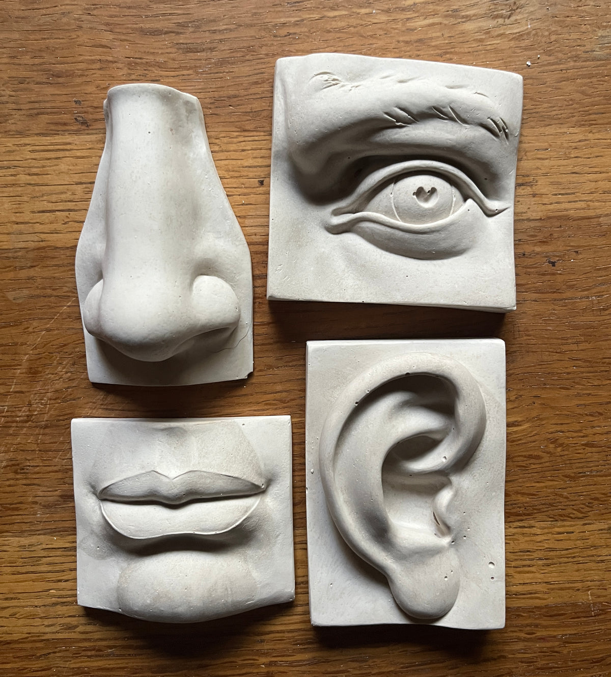 Five Senses Plaster Objects | PARCEL