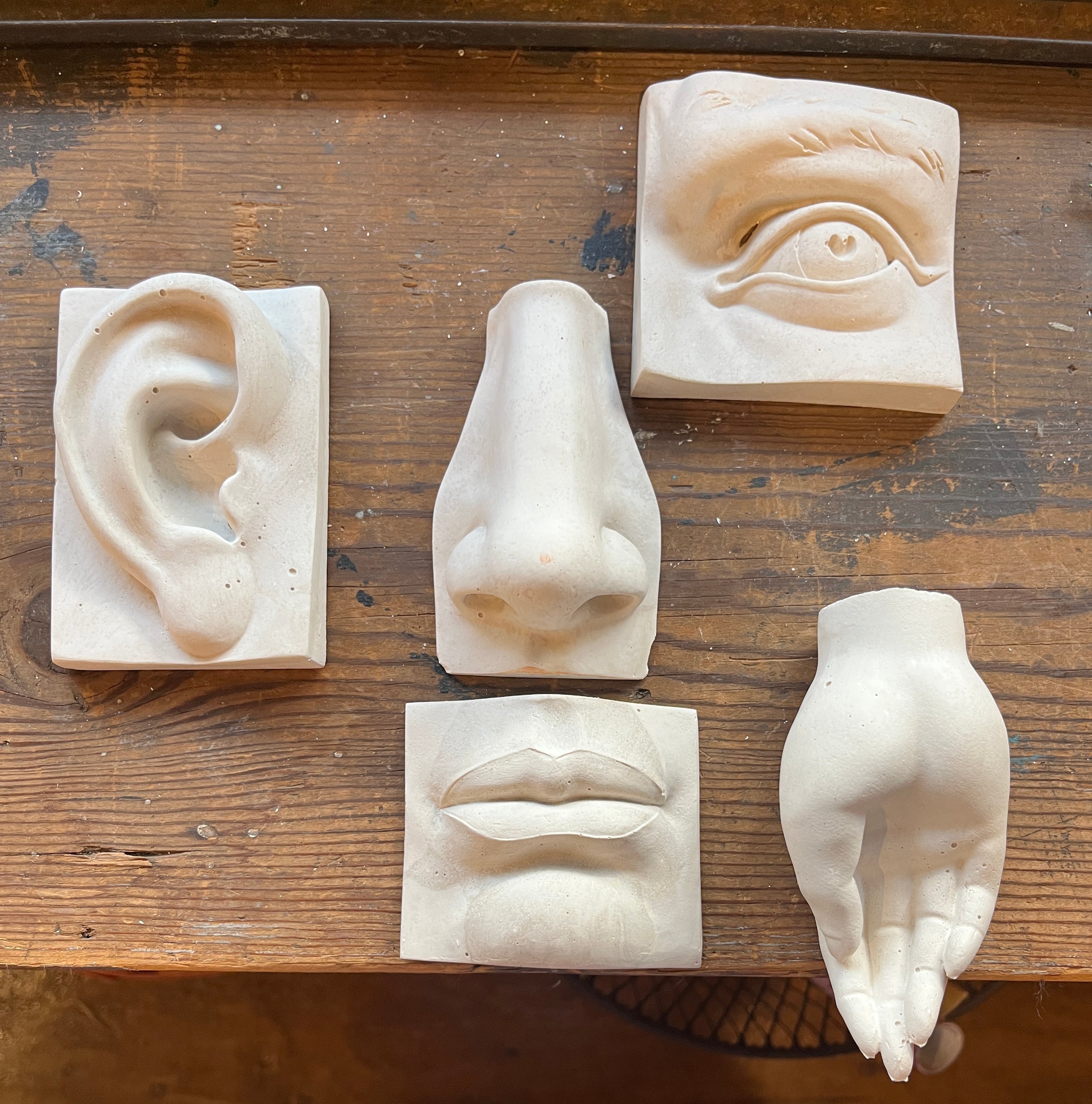 Five Senses Plaster Objects - PARCEL