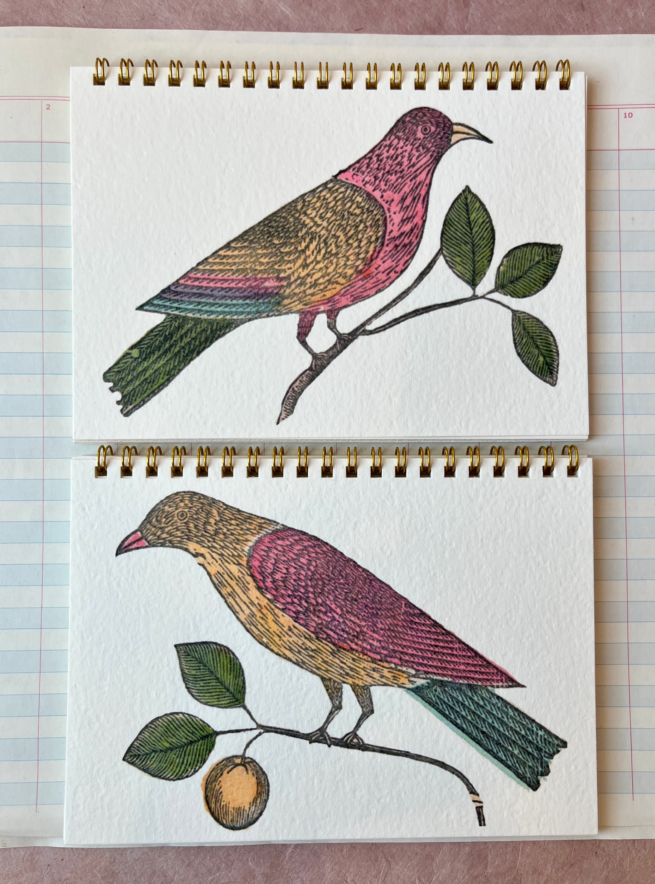 Folk Bird Notebooks